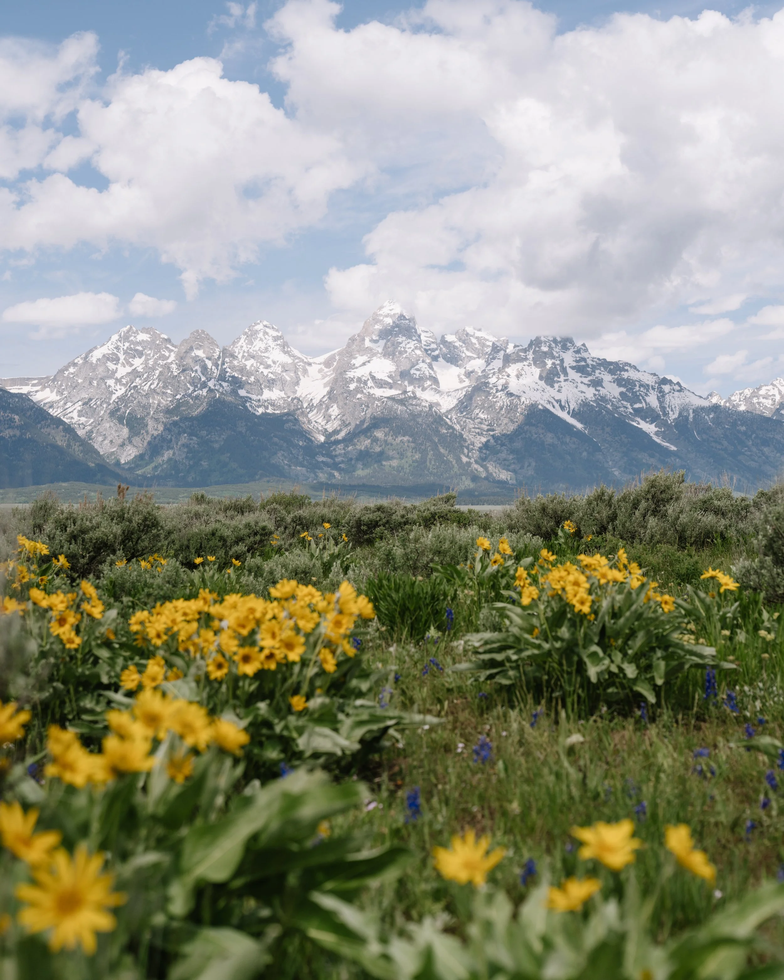 Hotel Yellowstone-61.jpg