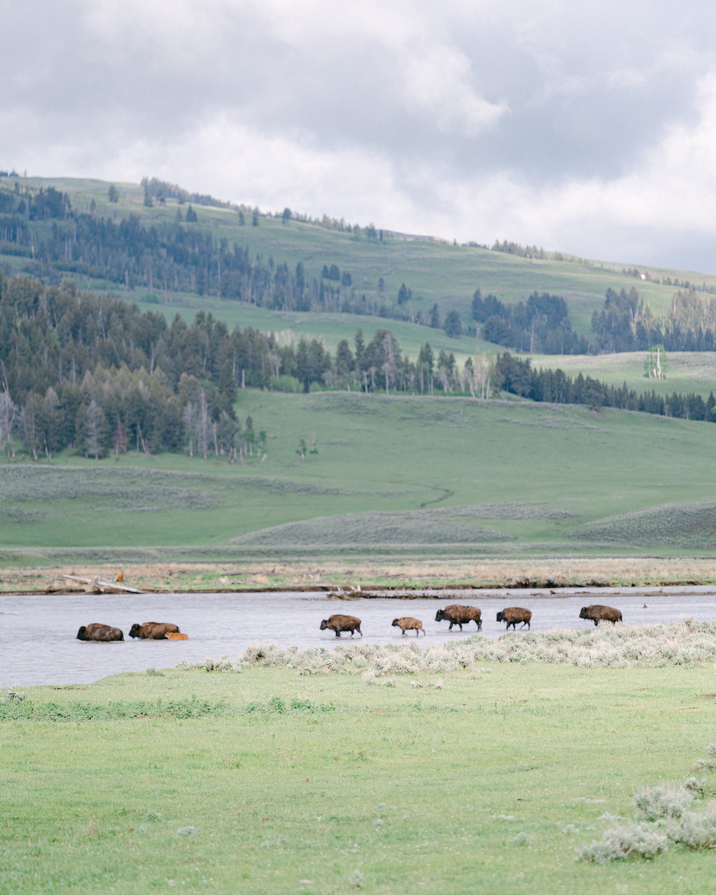 Hotel Yellowstone-1.jpg
