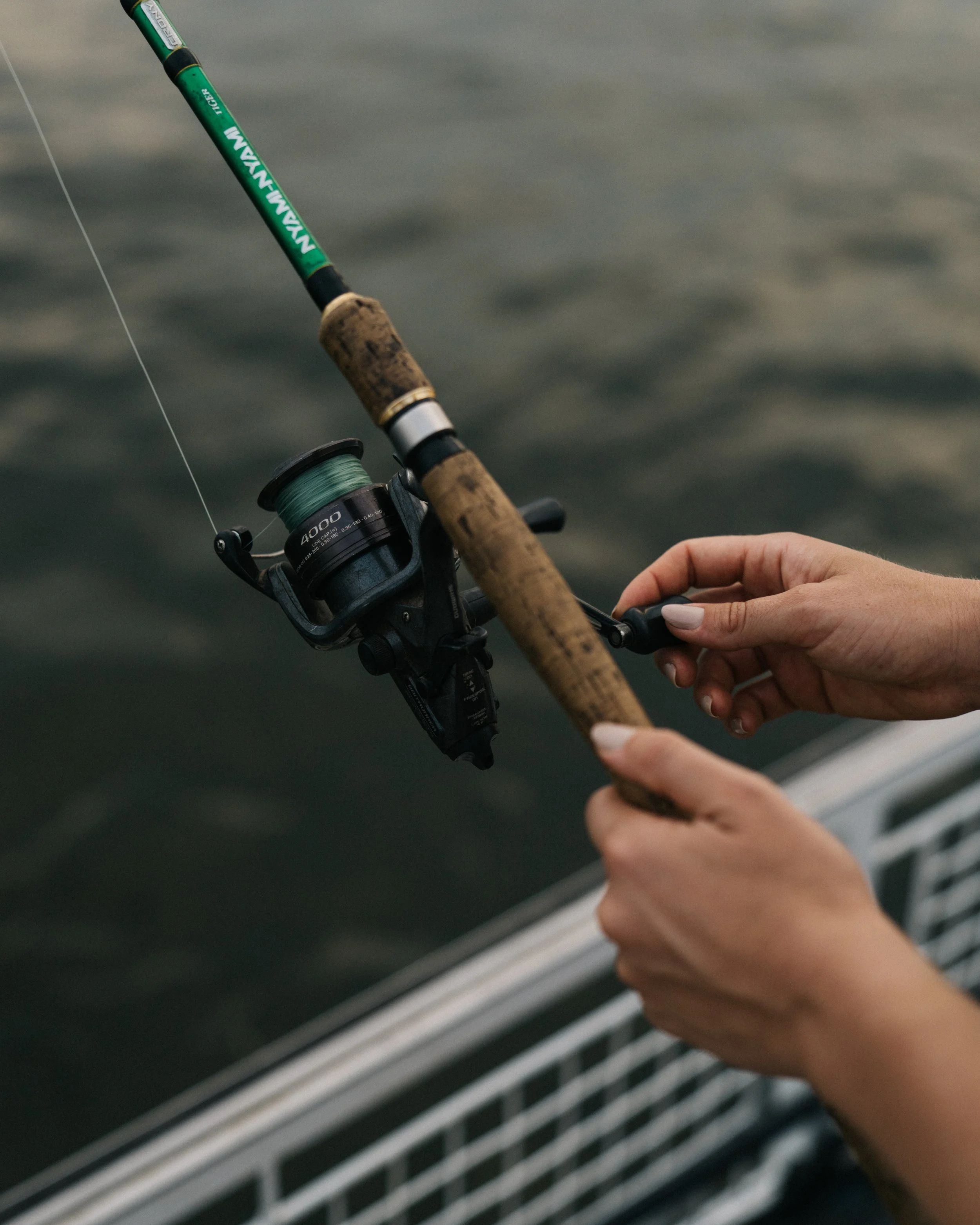 Wilderness Mana Pools Zimbabwe_11-25-A.Ling-84.jpg