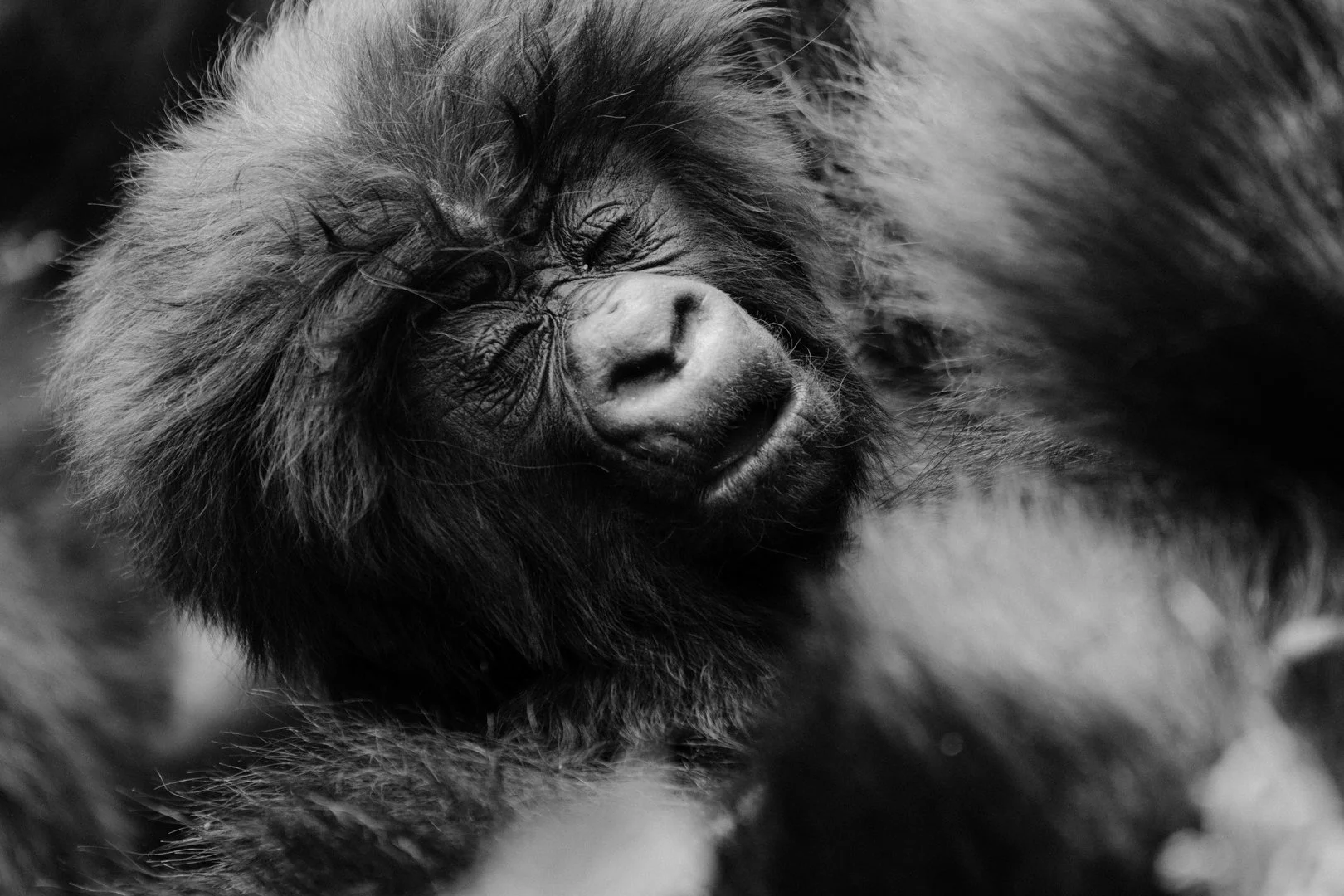 WS Judge Bio Photos 23.jpg