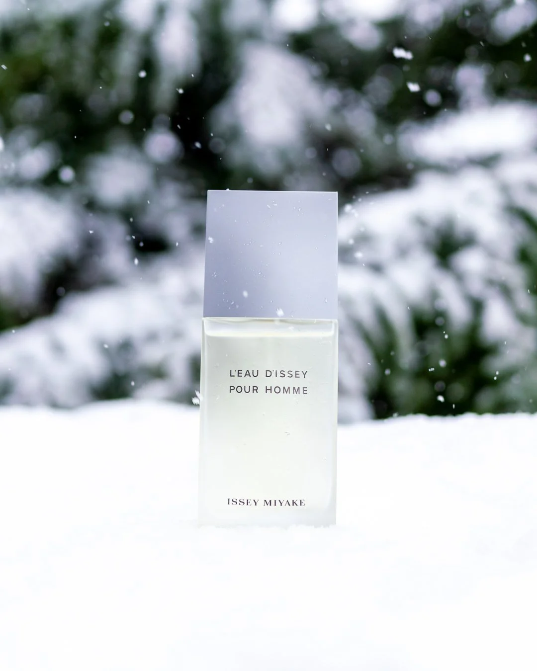 Issey Miyake Selects-6.jpg