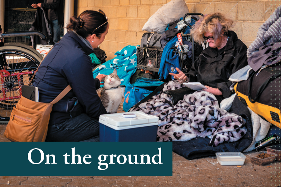 On the Ground: Peer Worker Perspectives on why Homelessness is a National Health Emergency