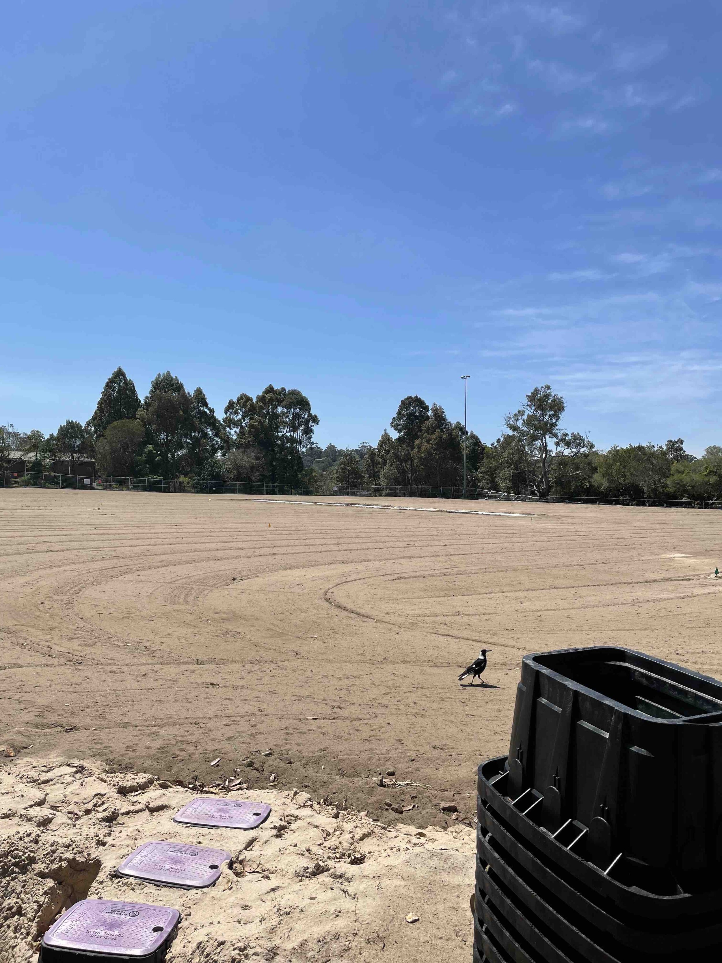 Wellington cricket pitch.jpg