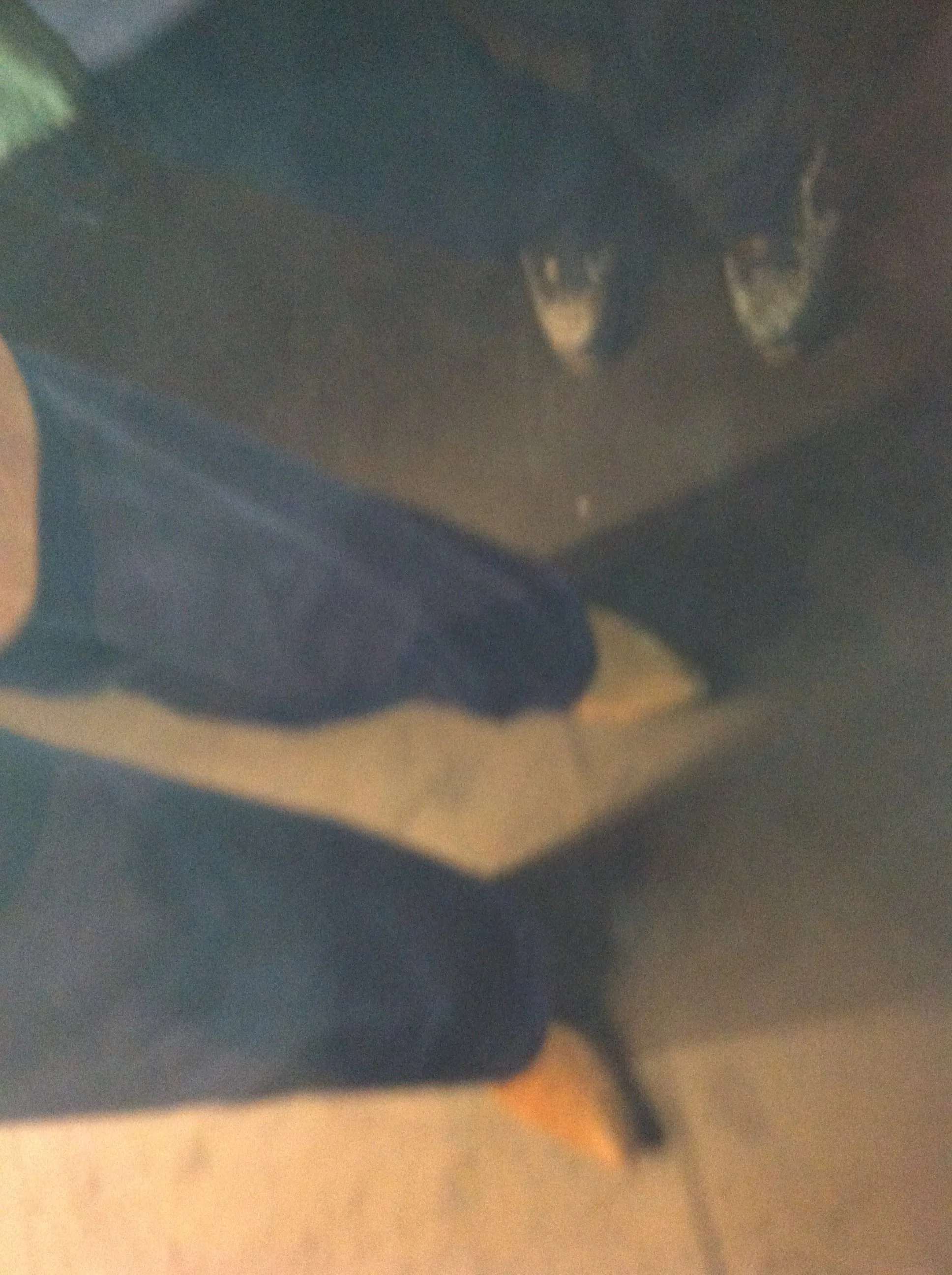 Delroy Lindo's feet at Jamaica Wash Reading photo1.jpg