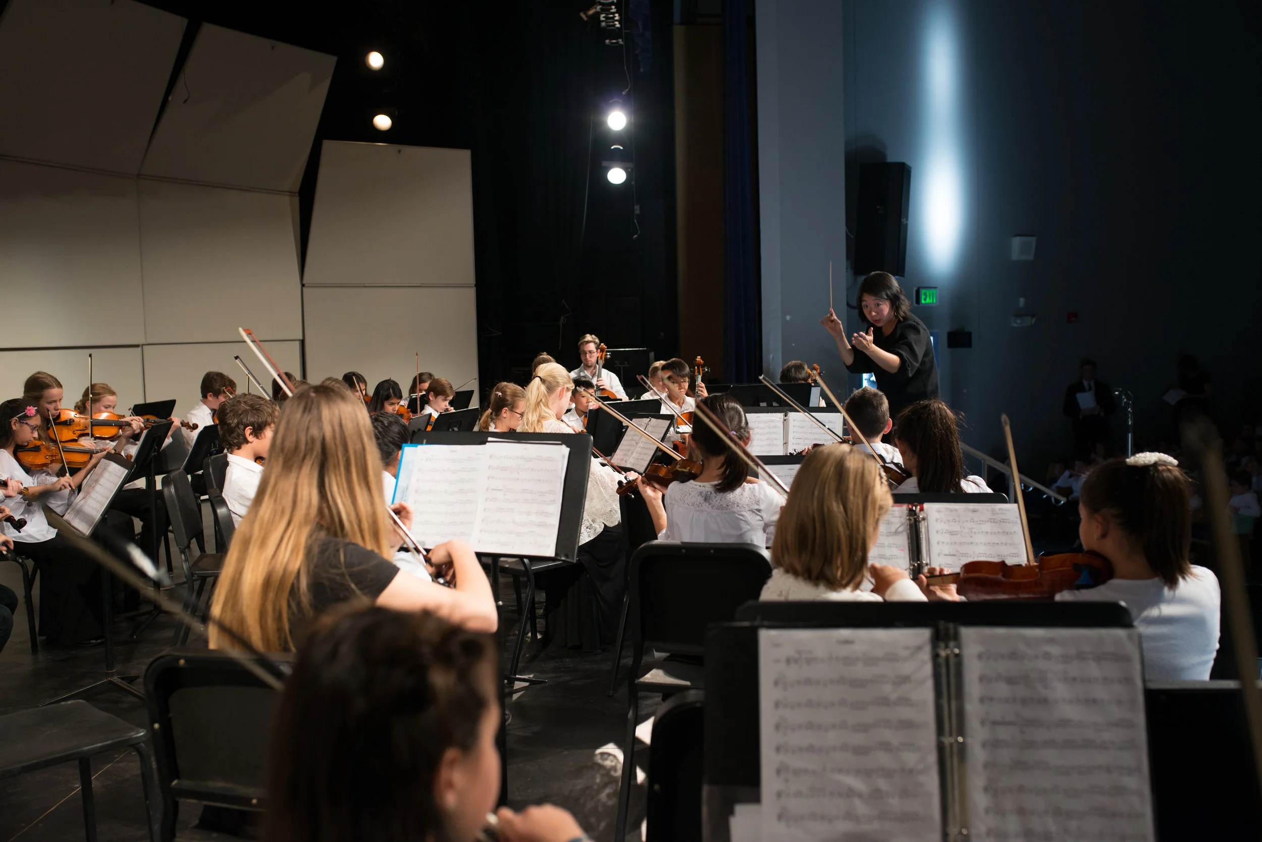 Elemental Strings plays Beethoven