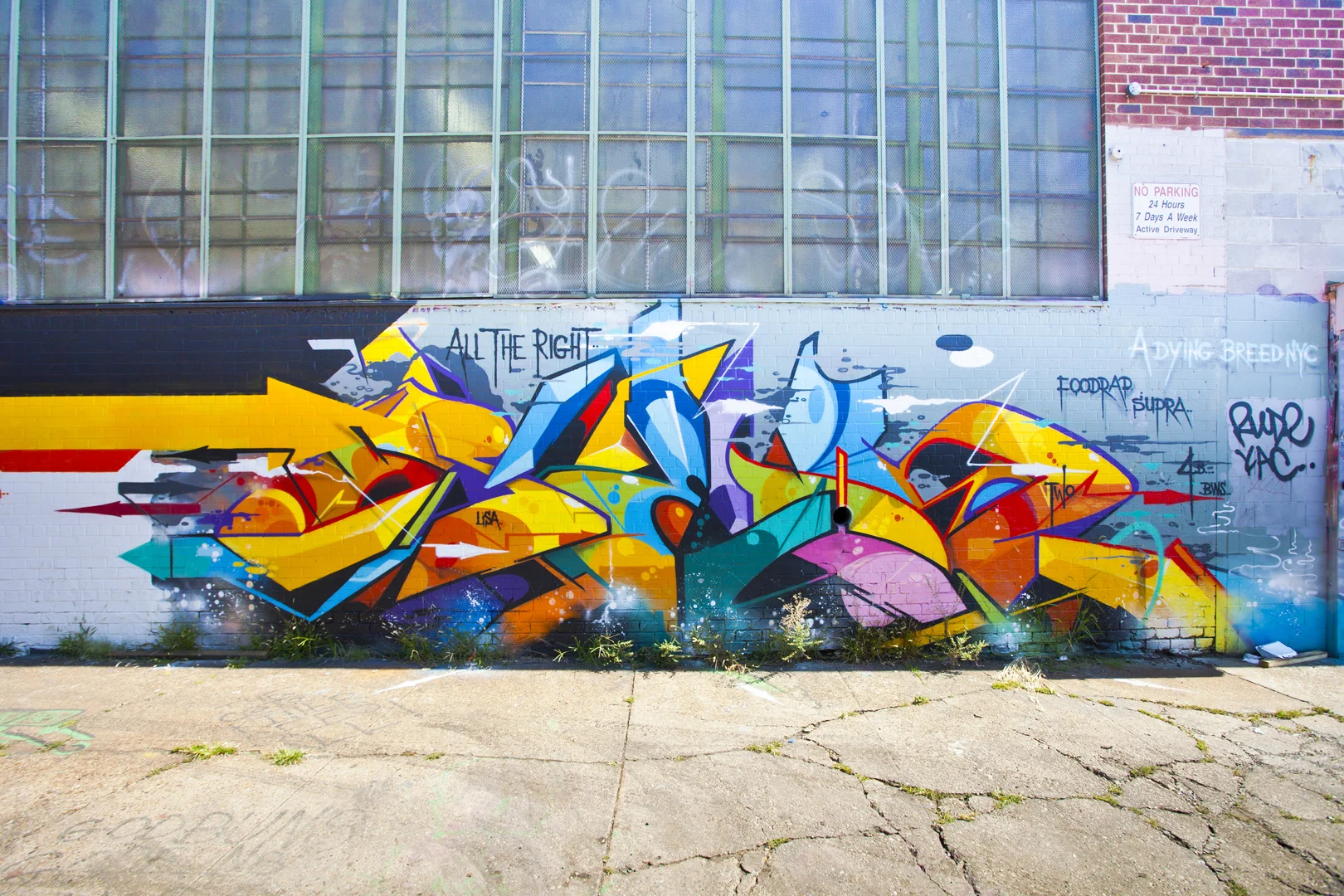 (5 Pointz, Queens, New York City)