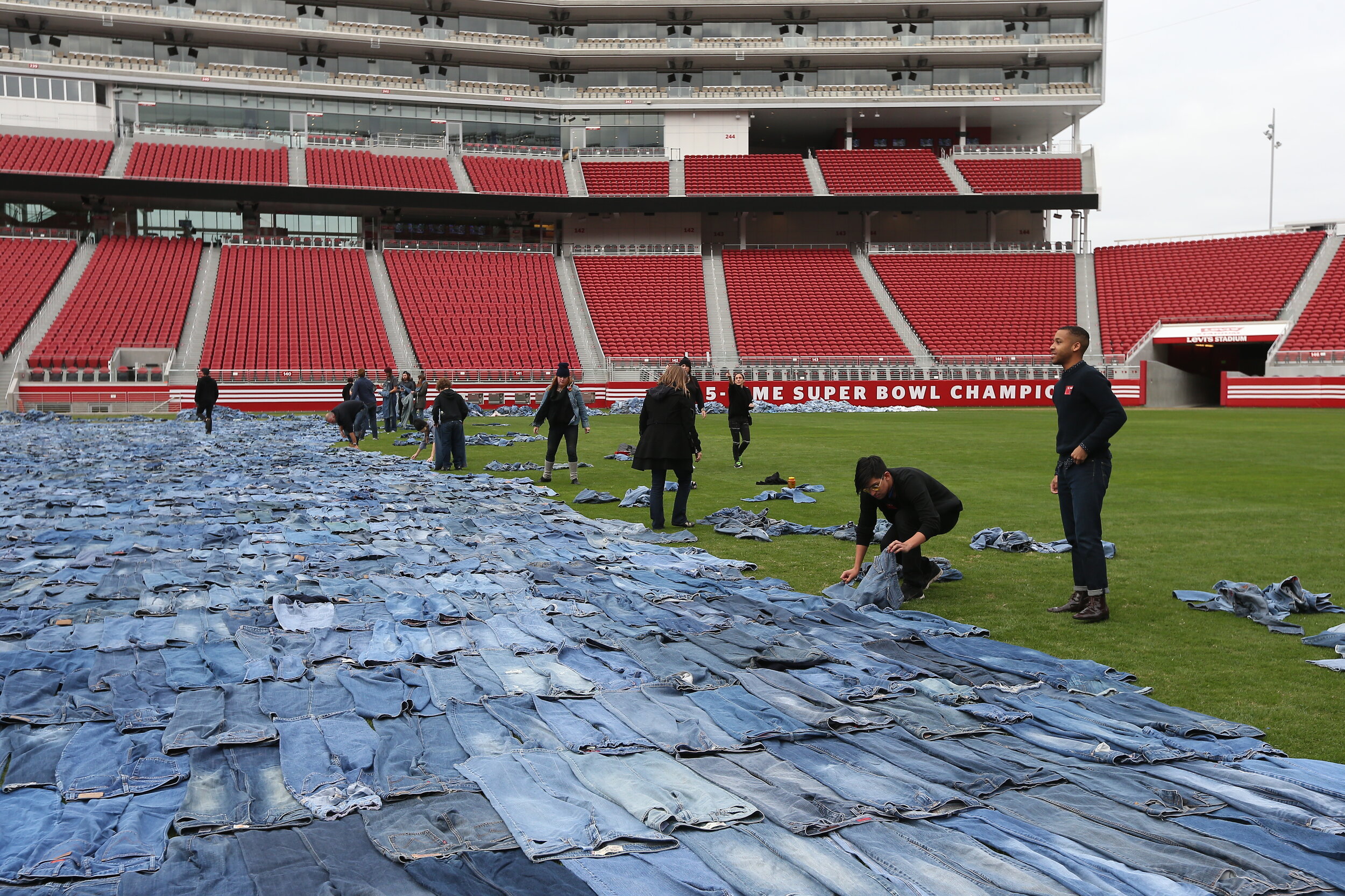 Levi's Field of Jeans — JESSOP KOZINK