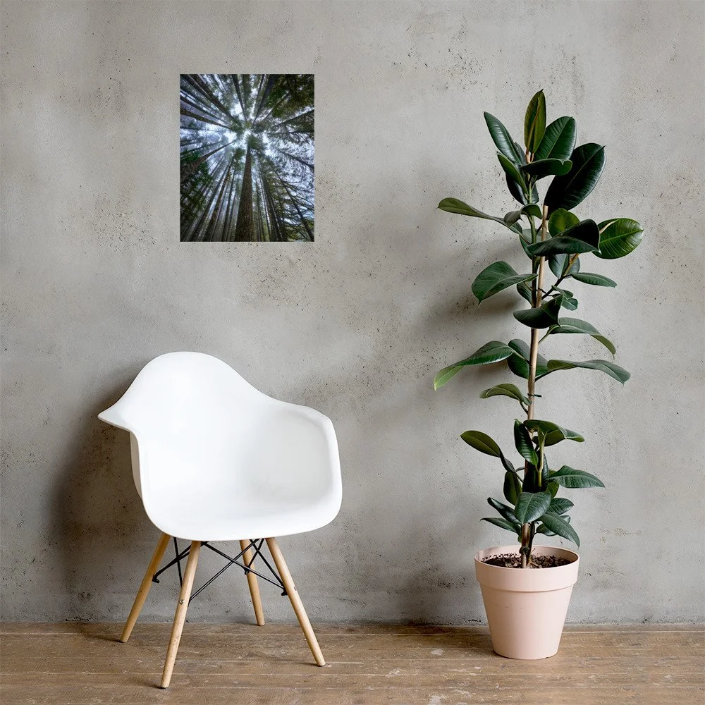 premium-luster-photo-paper-poster-(in)-16x20-lifestyle-1-659c5d74a0600.jpg