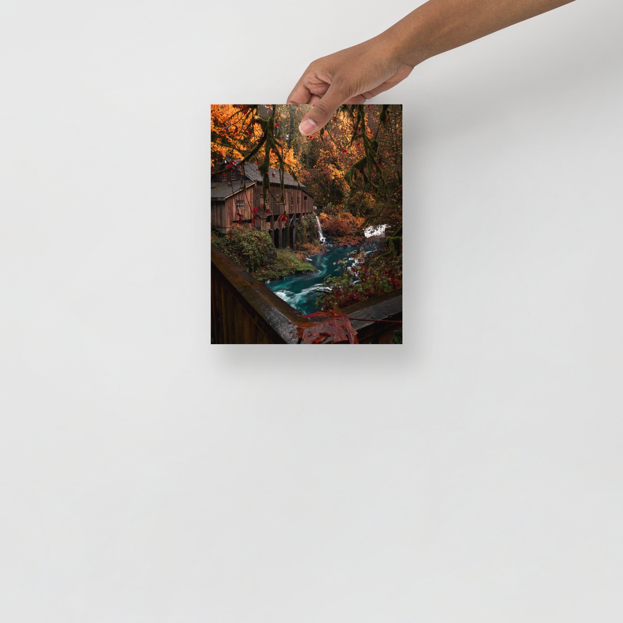 premium-luster-photo-paper-poster-(in)-8x10-front-65a19ac7ea949.jpg