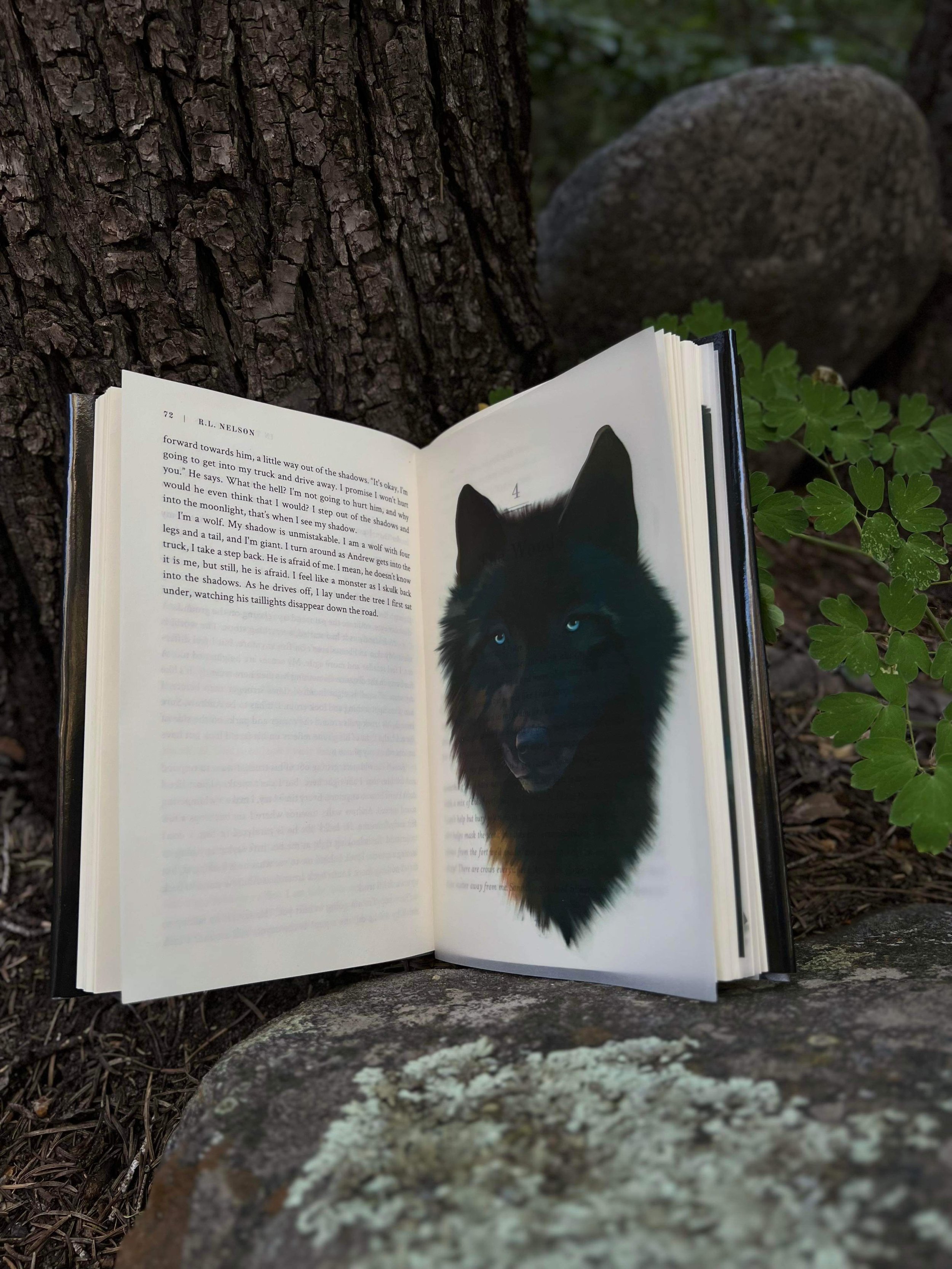 In The Shadows Page Overlay