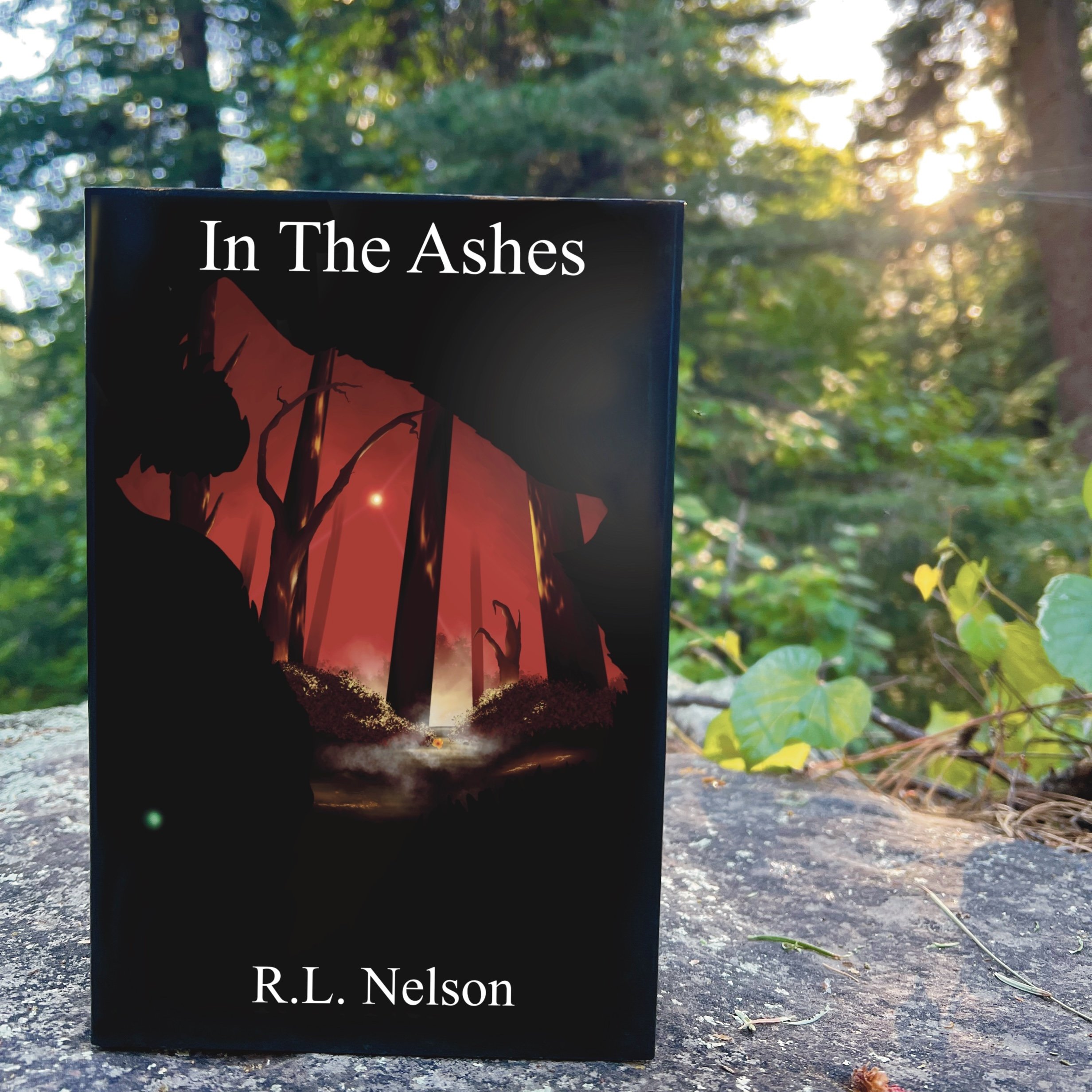 In The Ashes- Paperback