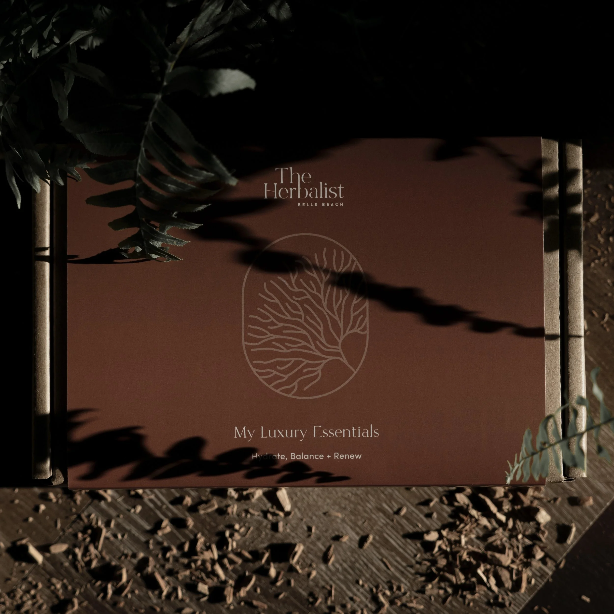 travel set wbox (1)-5.jpg