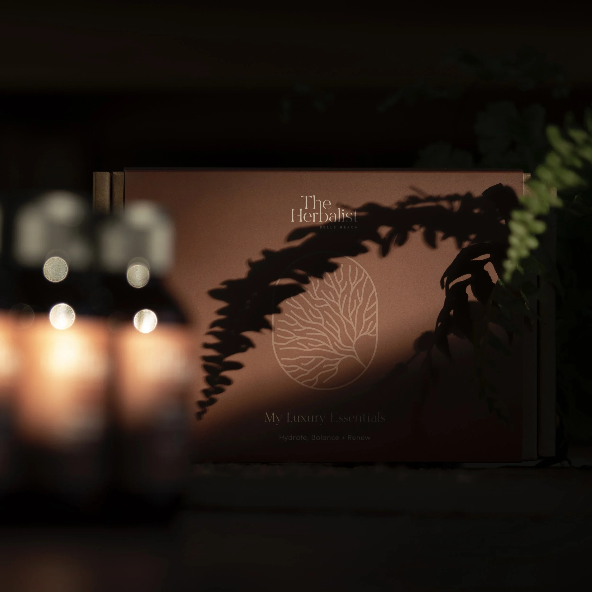 The Essentials ~ Earth + Wood Hair and Body Travel Care