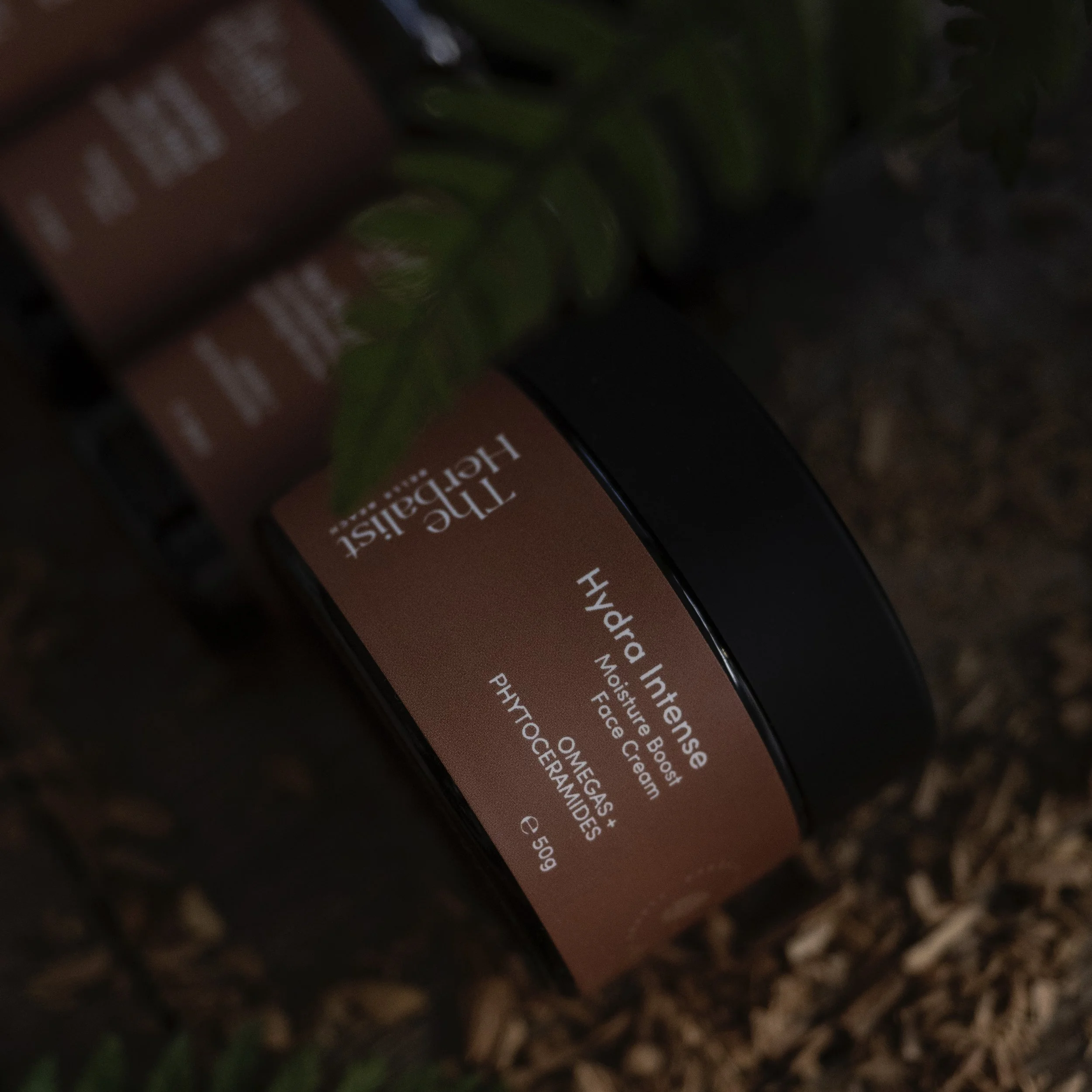 earth + wood set imagery (6)-1.jpg