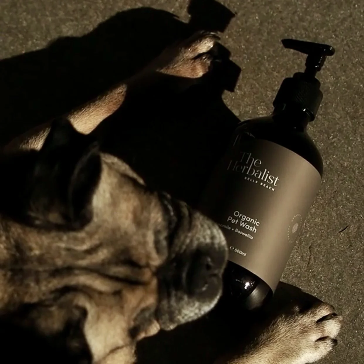 Organic Pet Wash Chamomile + Boswellia