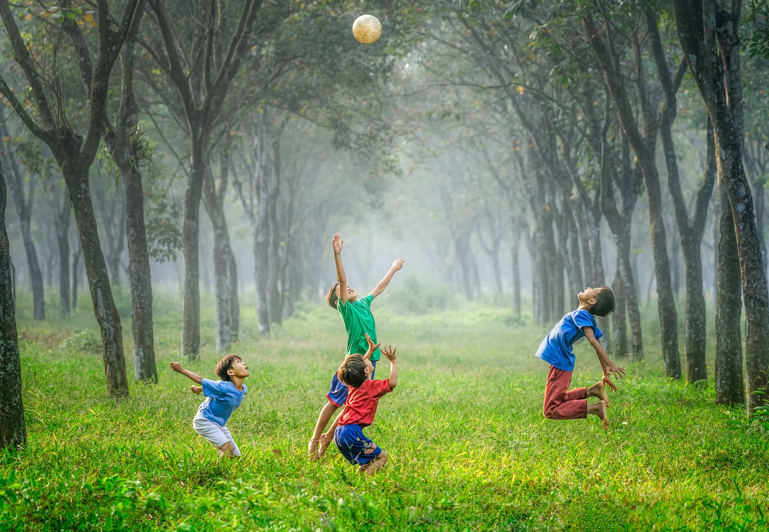 kids-playing-with-ball-in-green-forest