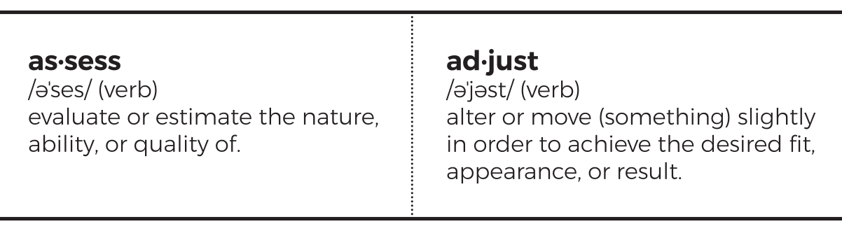 Assess-and-Adjust.png