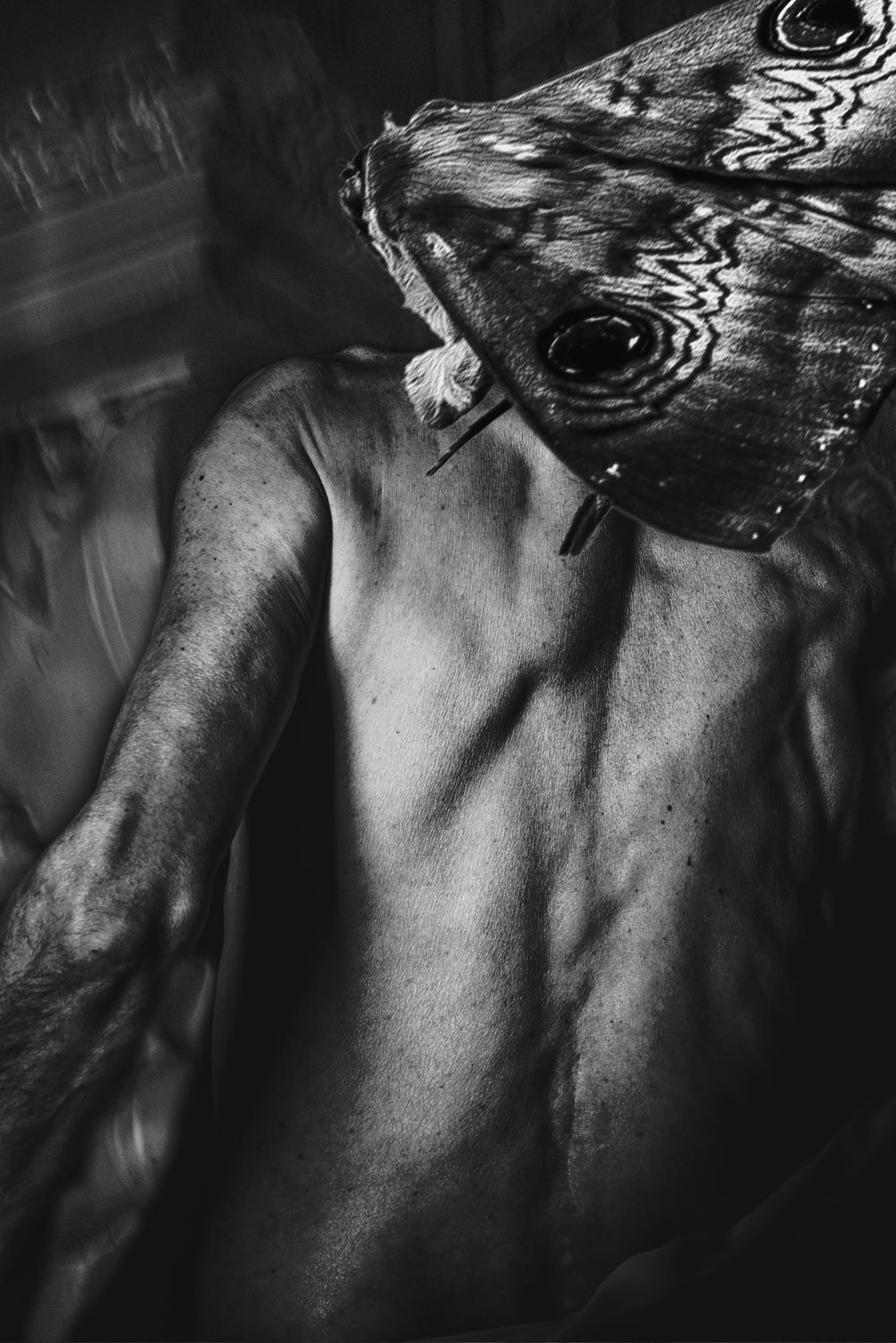 obscura04.JPG