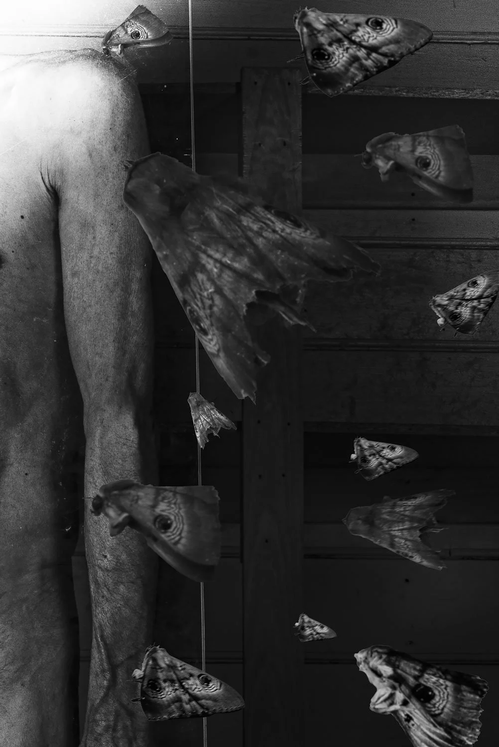 obscura104.JPG