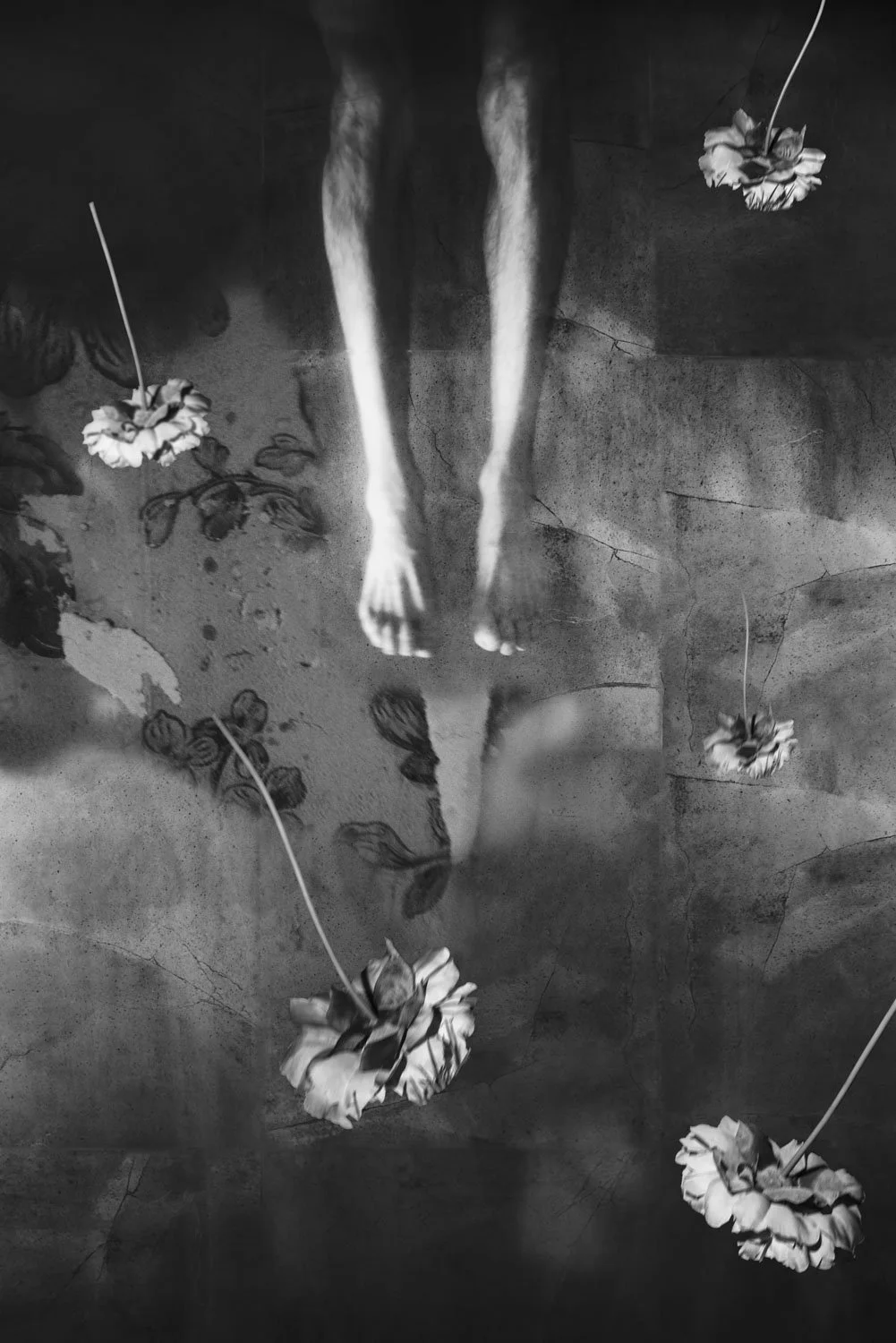 obscura114.JPG