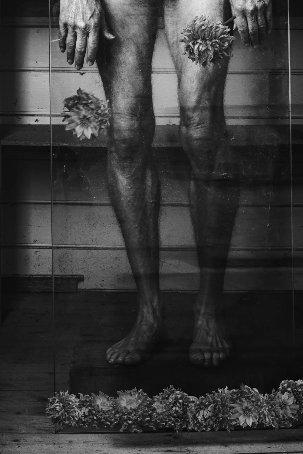 obscura106.JPG