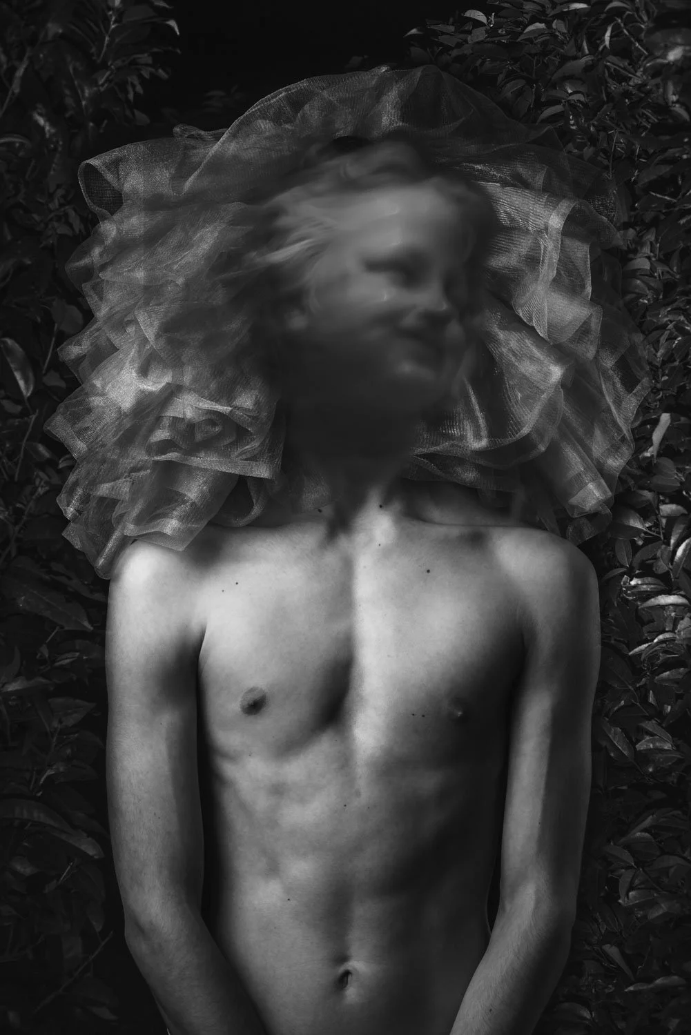 obscura32.JPG