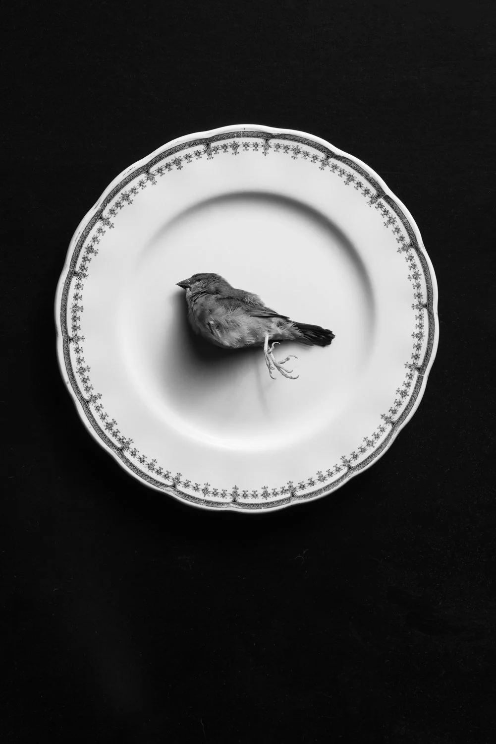 portfolio202617.jpg