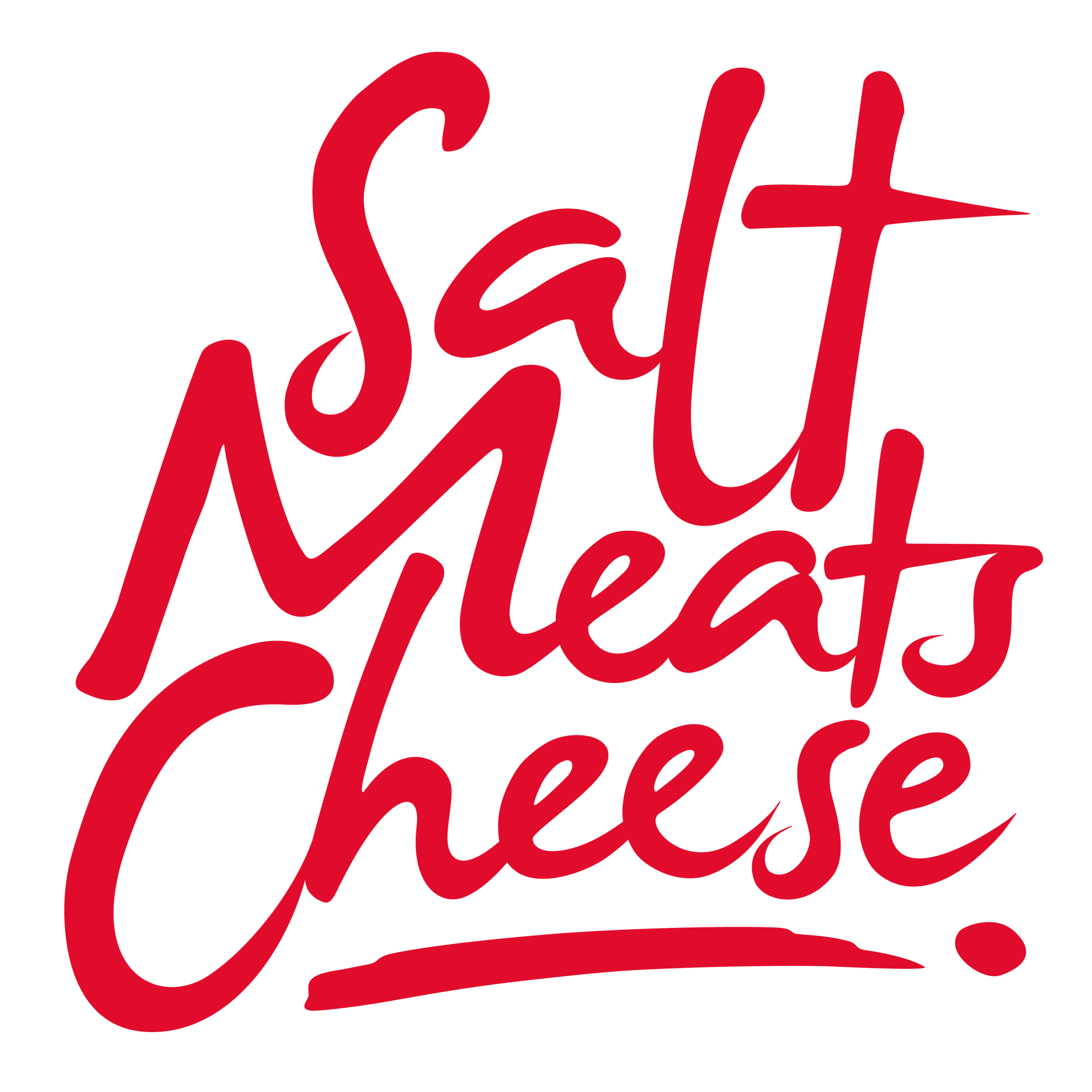 Salt Meats Cheese