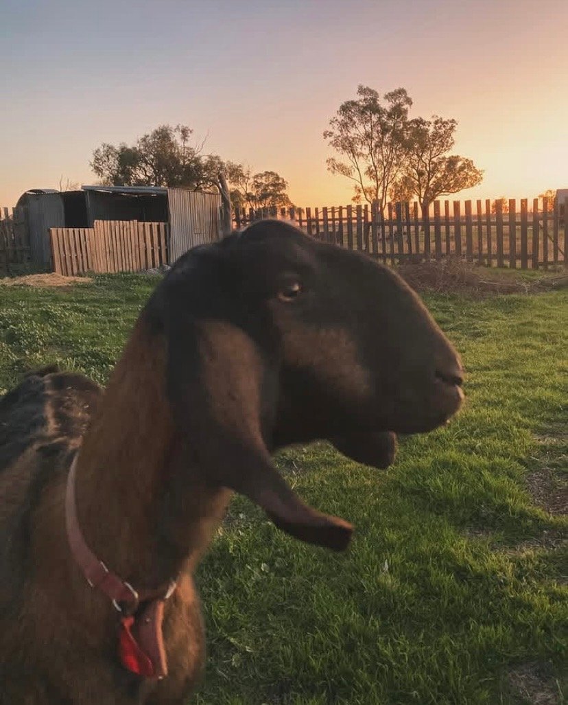 Attachment new new 3.jpg