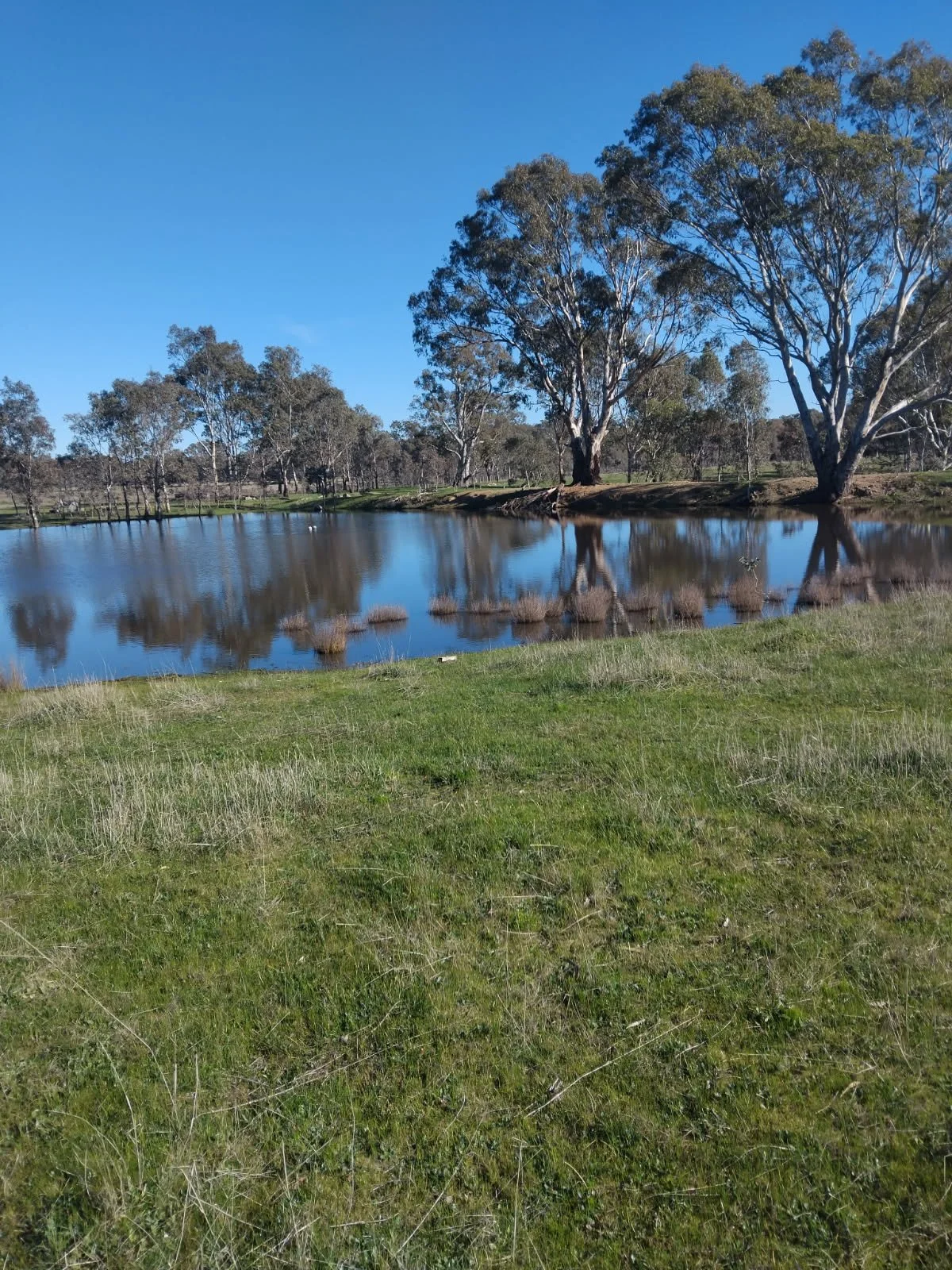 $270,000 20 Acres Great Western Victoria