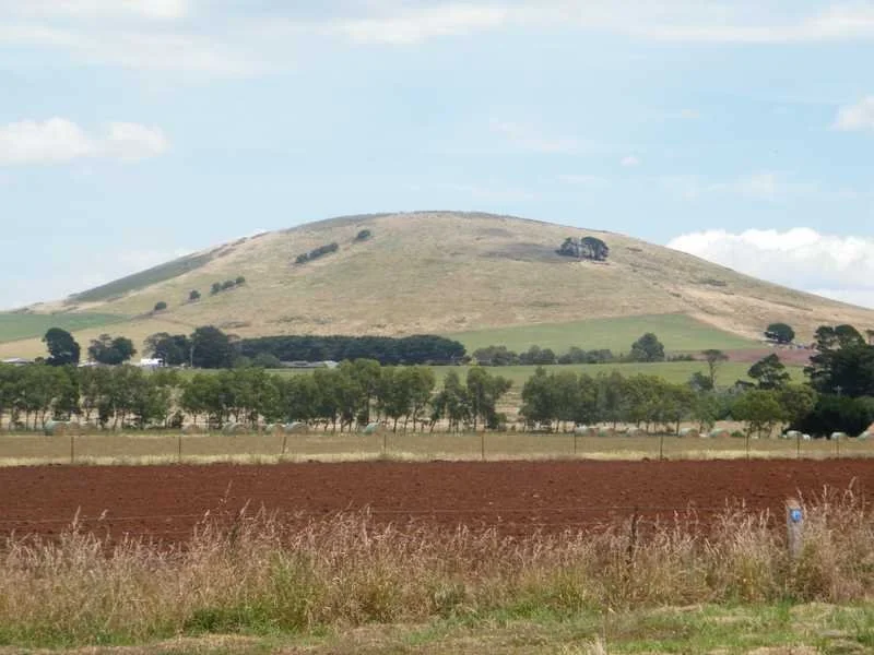 image2.jpg