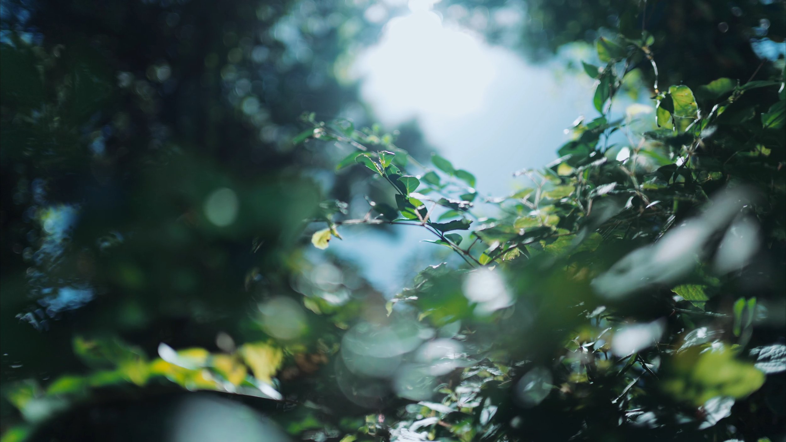 6 Visions one light_gunji_00033.jpeg