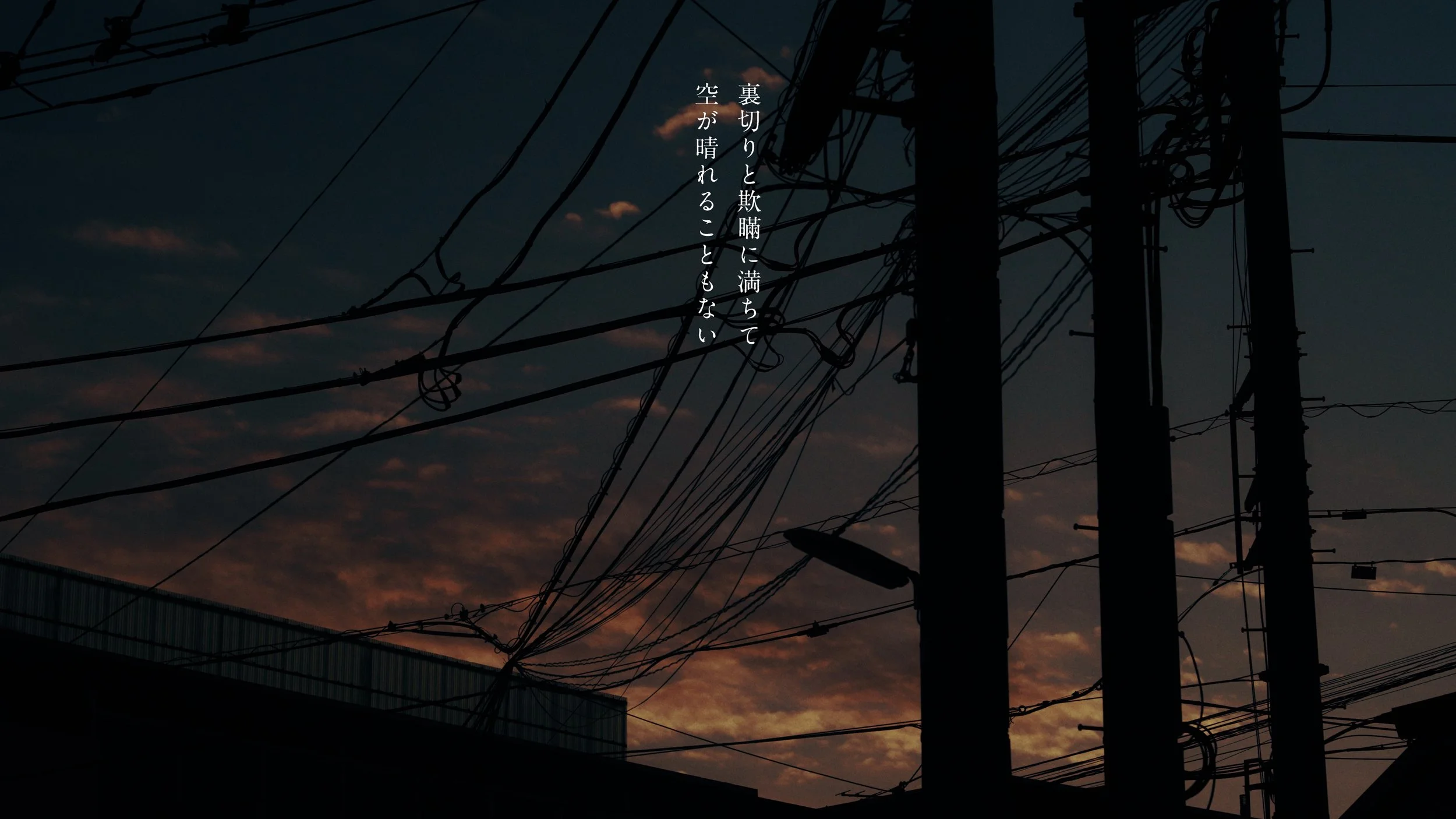 hata_matayoshi_hitorigoto_241210_422HQ.00_02_48_13.048.jpeg