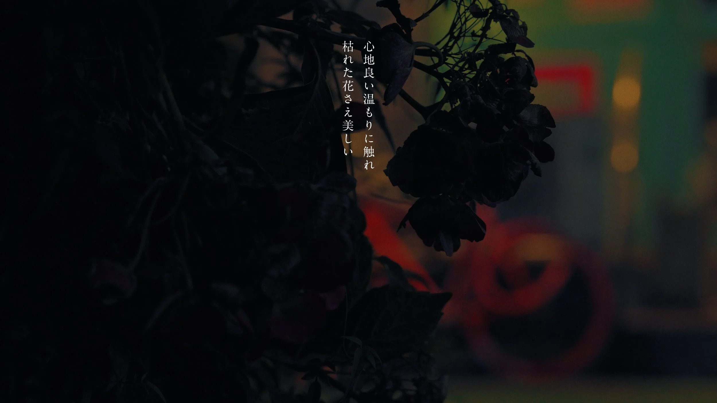 hata_matayoshi_hitorigoto_241210_422HQ.00_04_37_07.063.jpeg