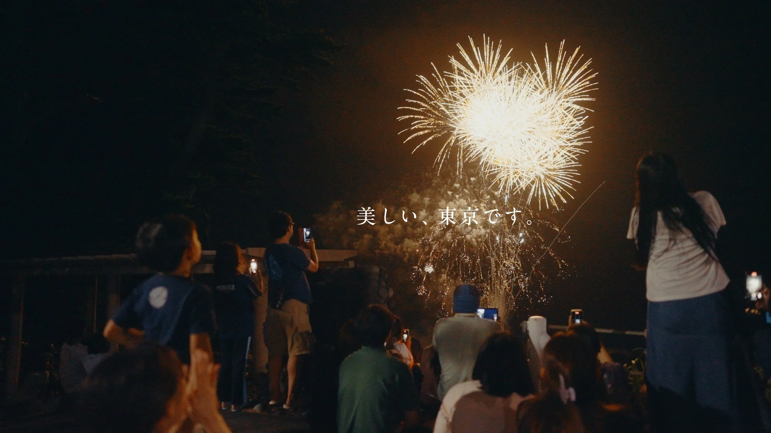 mikurajima_pv_00196.jpeg