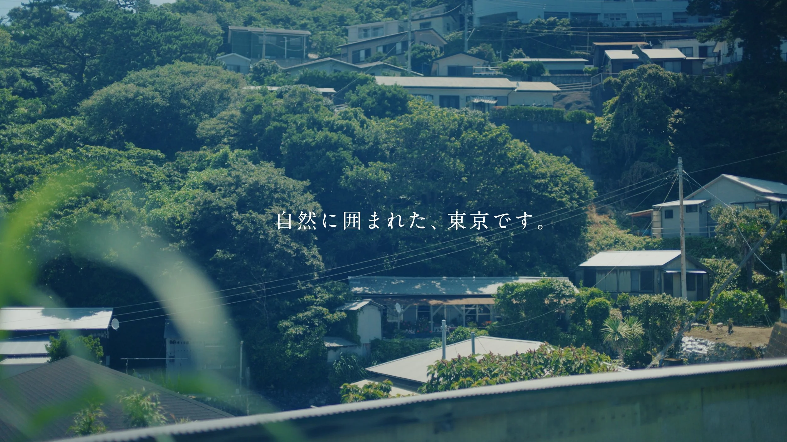 mikurajima_pv_00071.jpeg