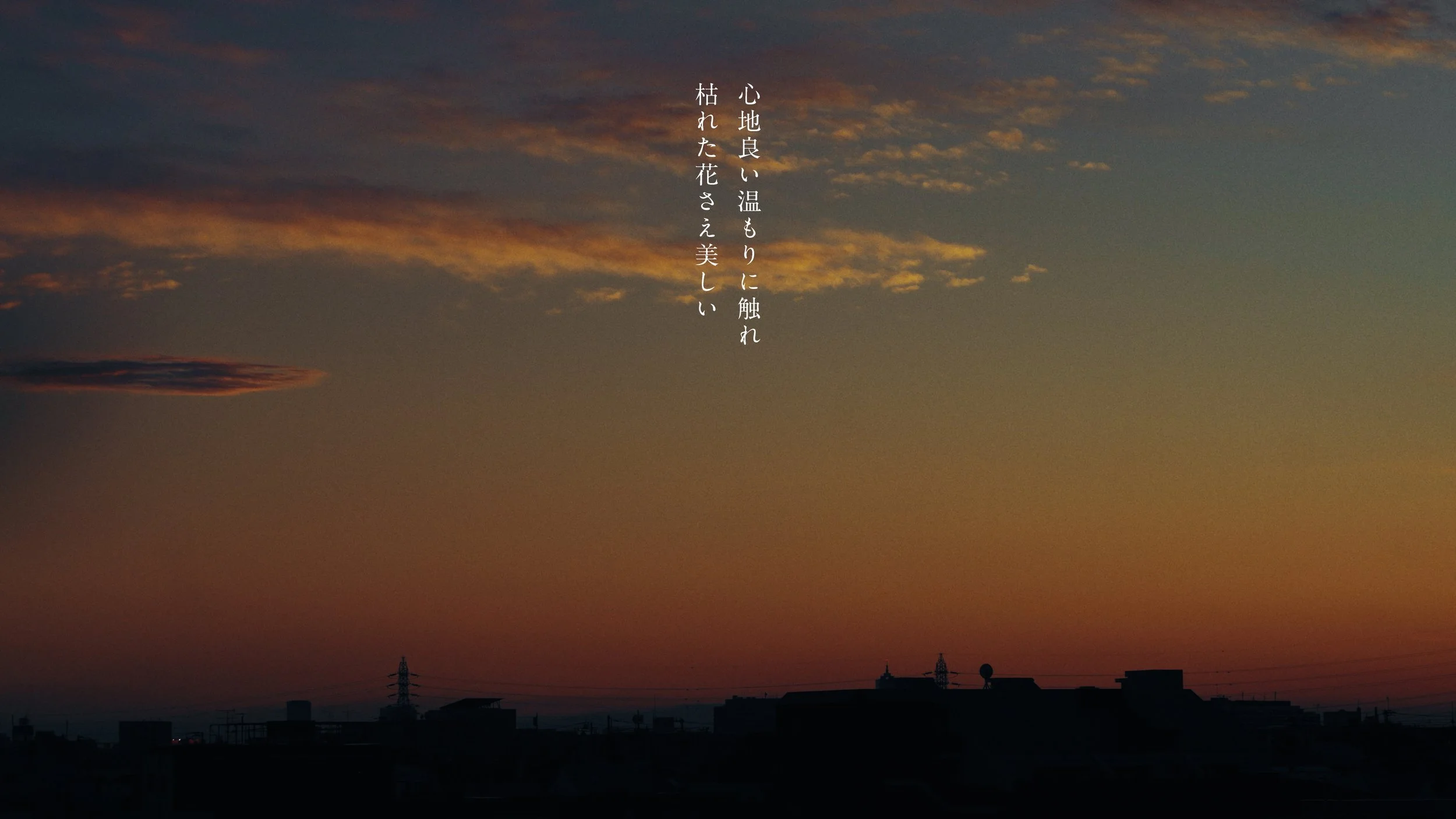 hata_matayoshi_hitorigoto_241210_422HQ.00_04_29_14.062.jpeg