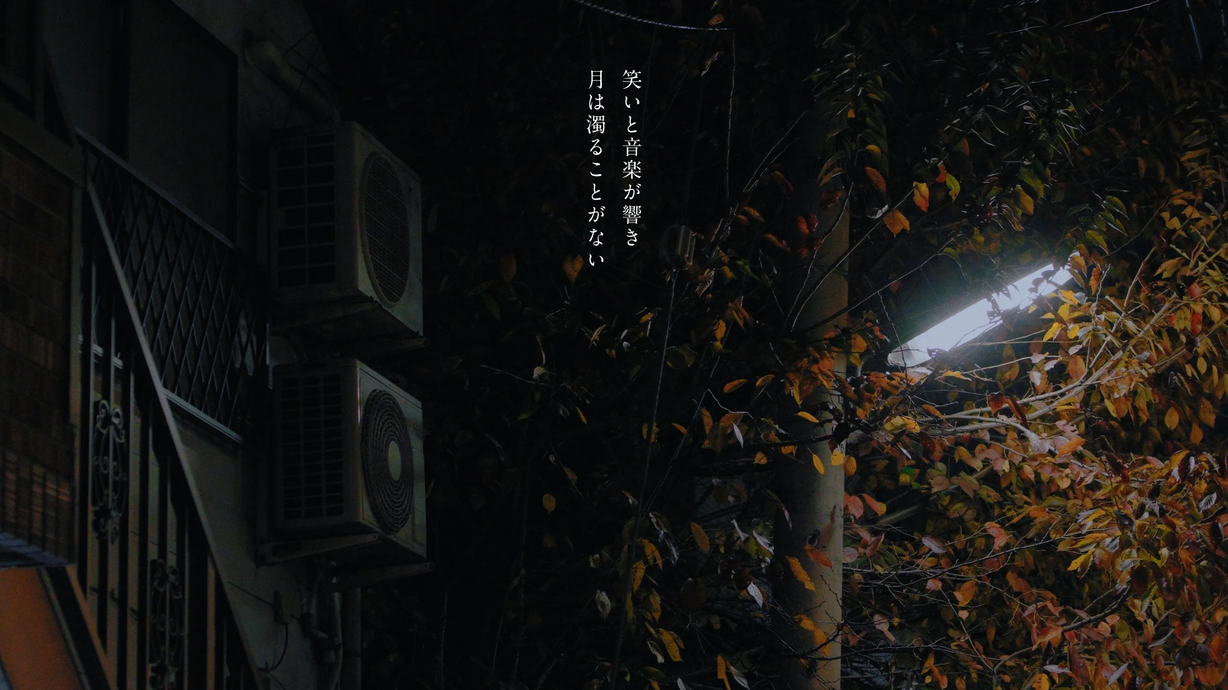 hata_matayoshi_hitorigoto_241210_422HQ.00_04_43_08.066.jpeg