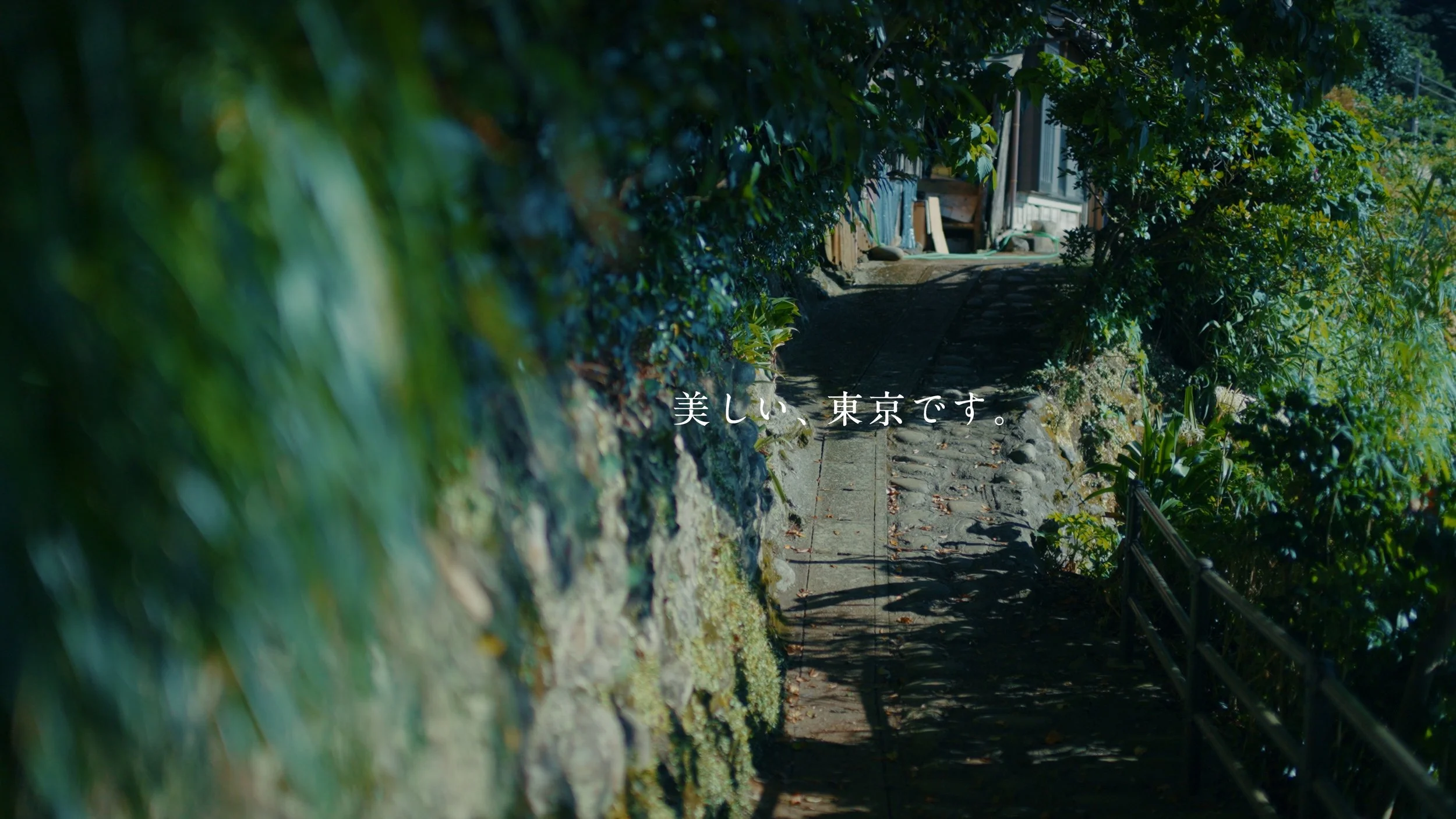 mikurajima_pv_00205.jpeg
