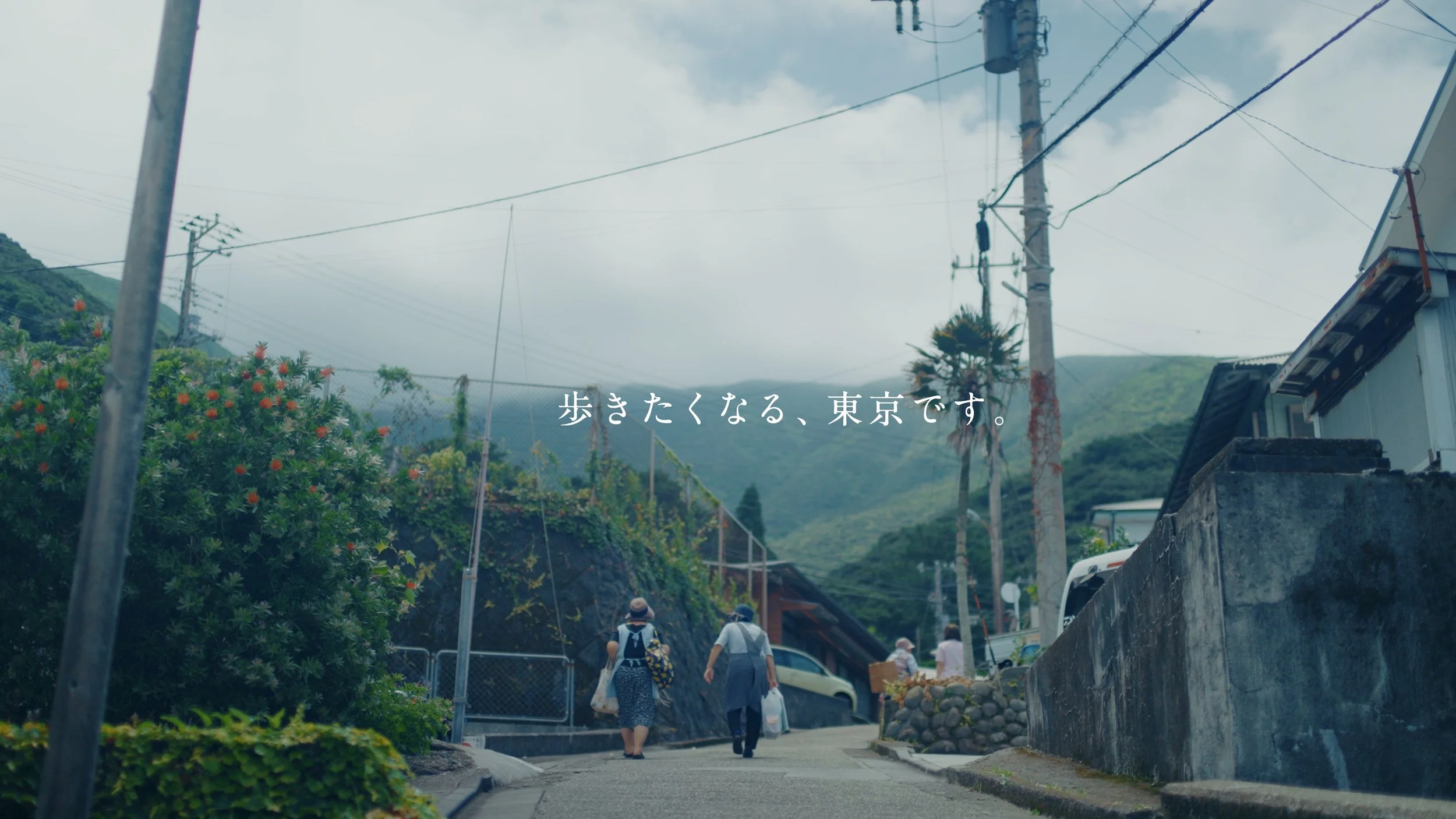 mikurajima_pv_00074.jpeg