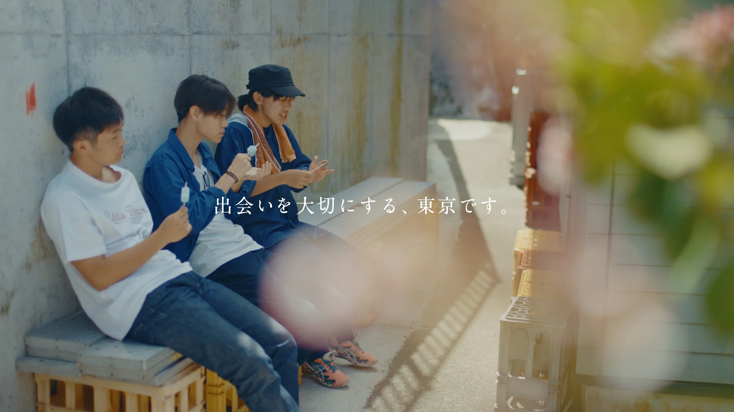 mikurajima_pv_00131.jpeg