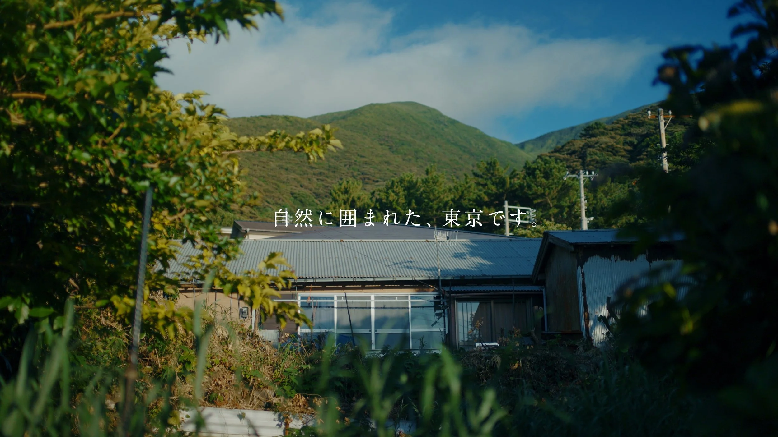 mikurajima_pv_00061.jpeg