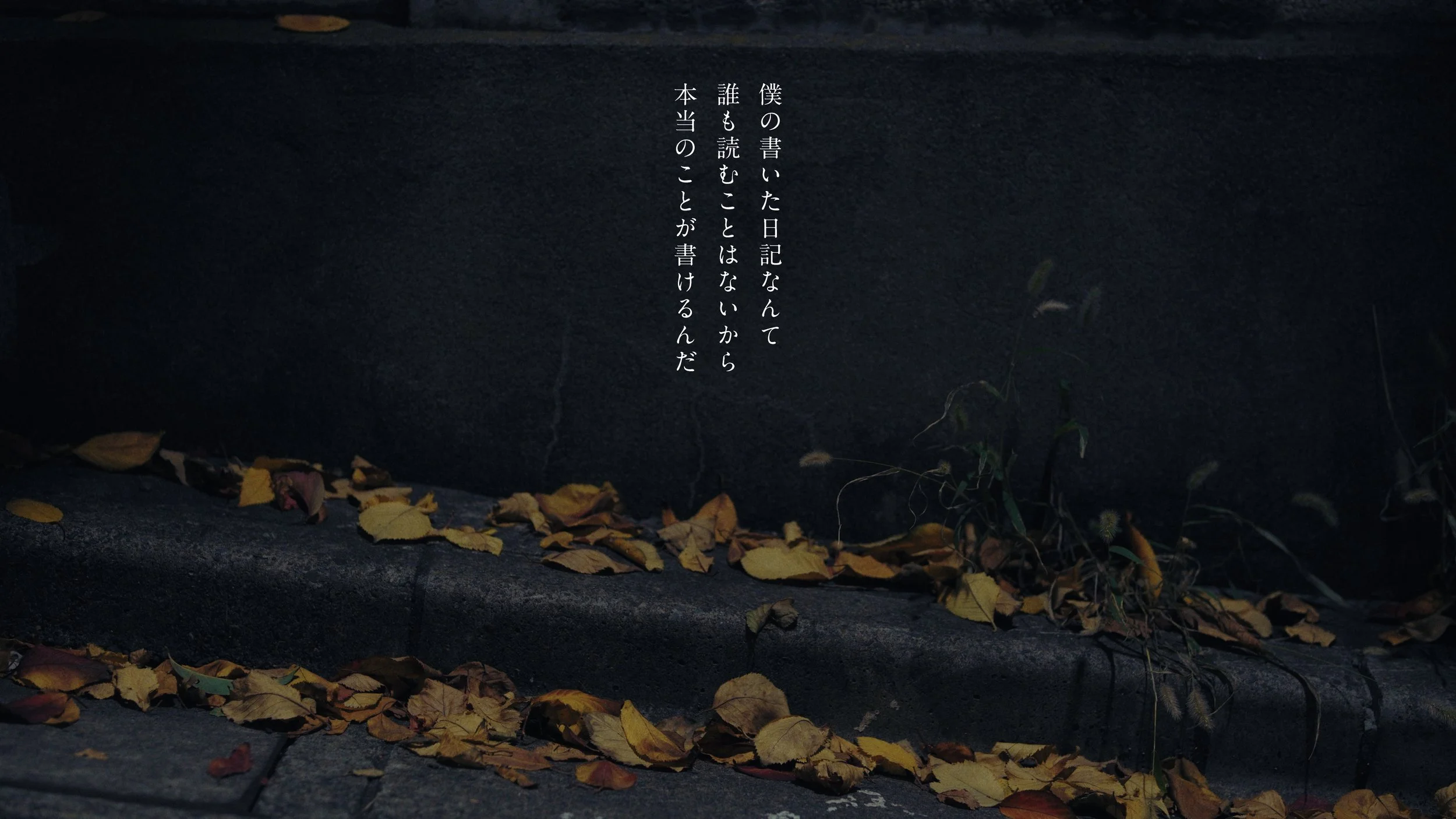 hata_matayoshi_hitorigoto_241210_422HQ.00_03_25_20.054.jpeg
