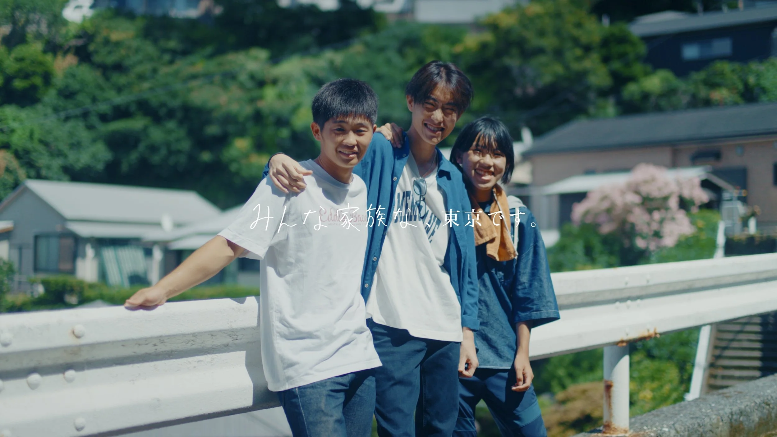 mikurajima_pv_00232.jpeg