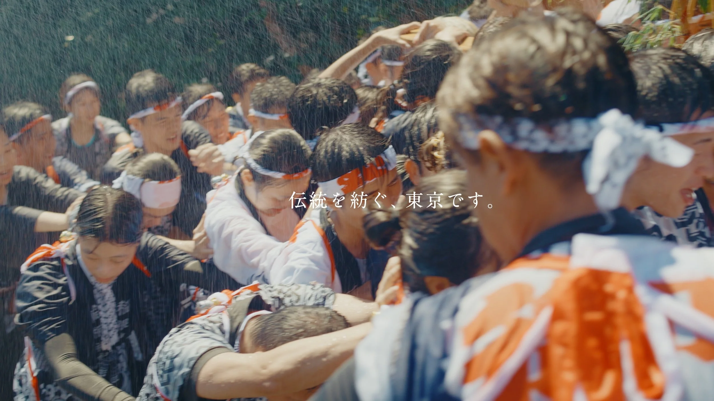 mikurajima_pv_00147.jpeg