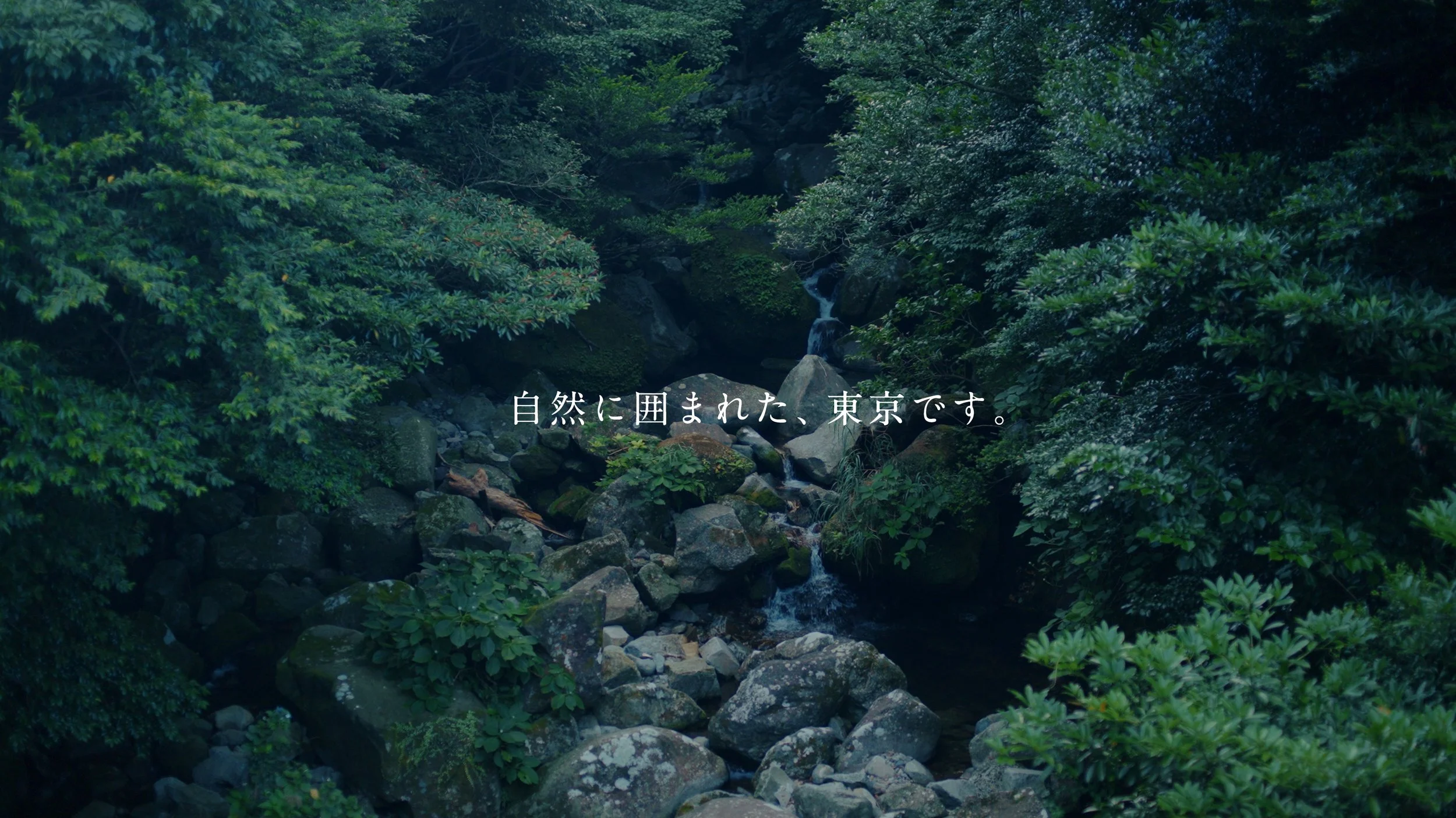 mikurajima_pv_00058.jpeg
