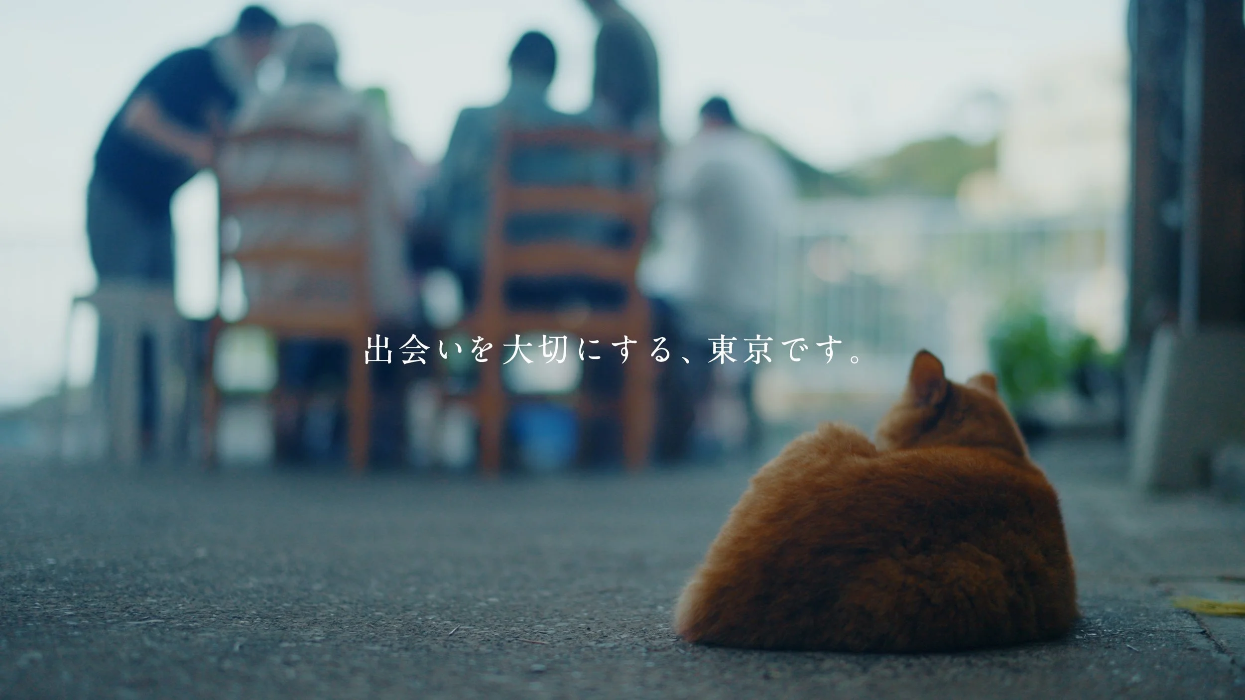 mikurajima_pv_00120.jpeg