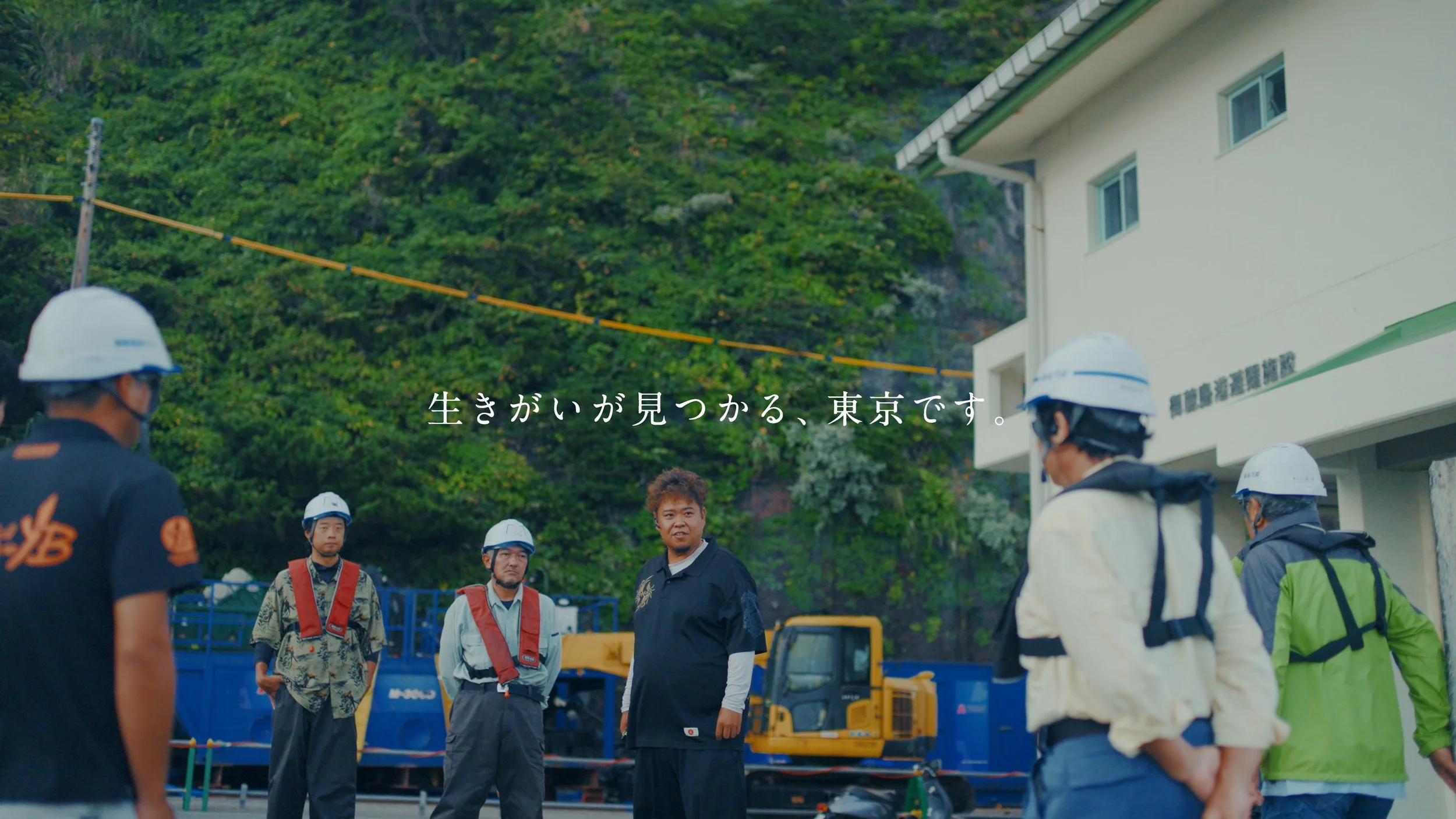mikurajima_pv_00098.jpeg