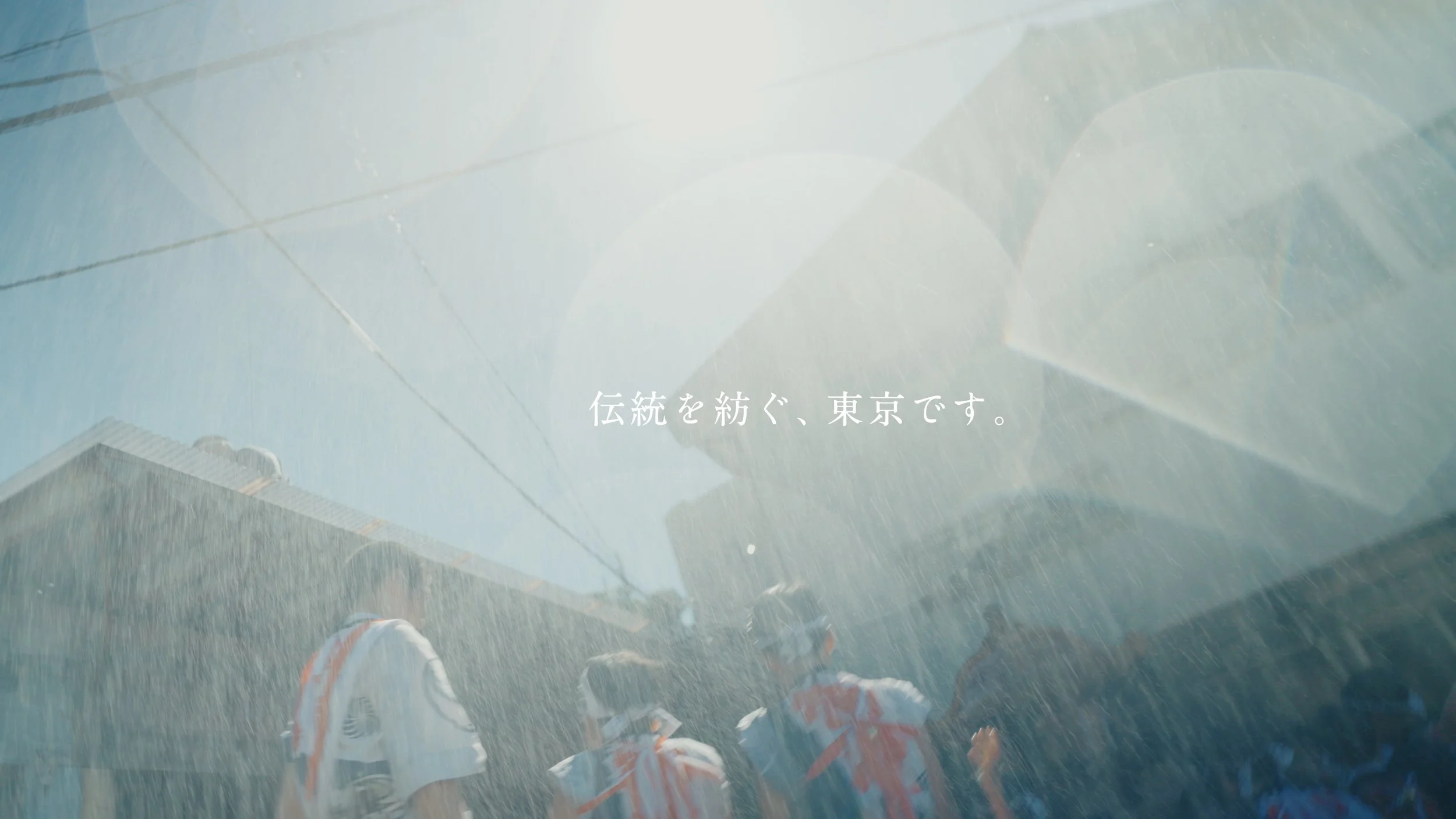 mikurajima_pv_00146.jpeg