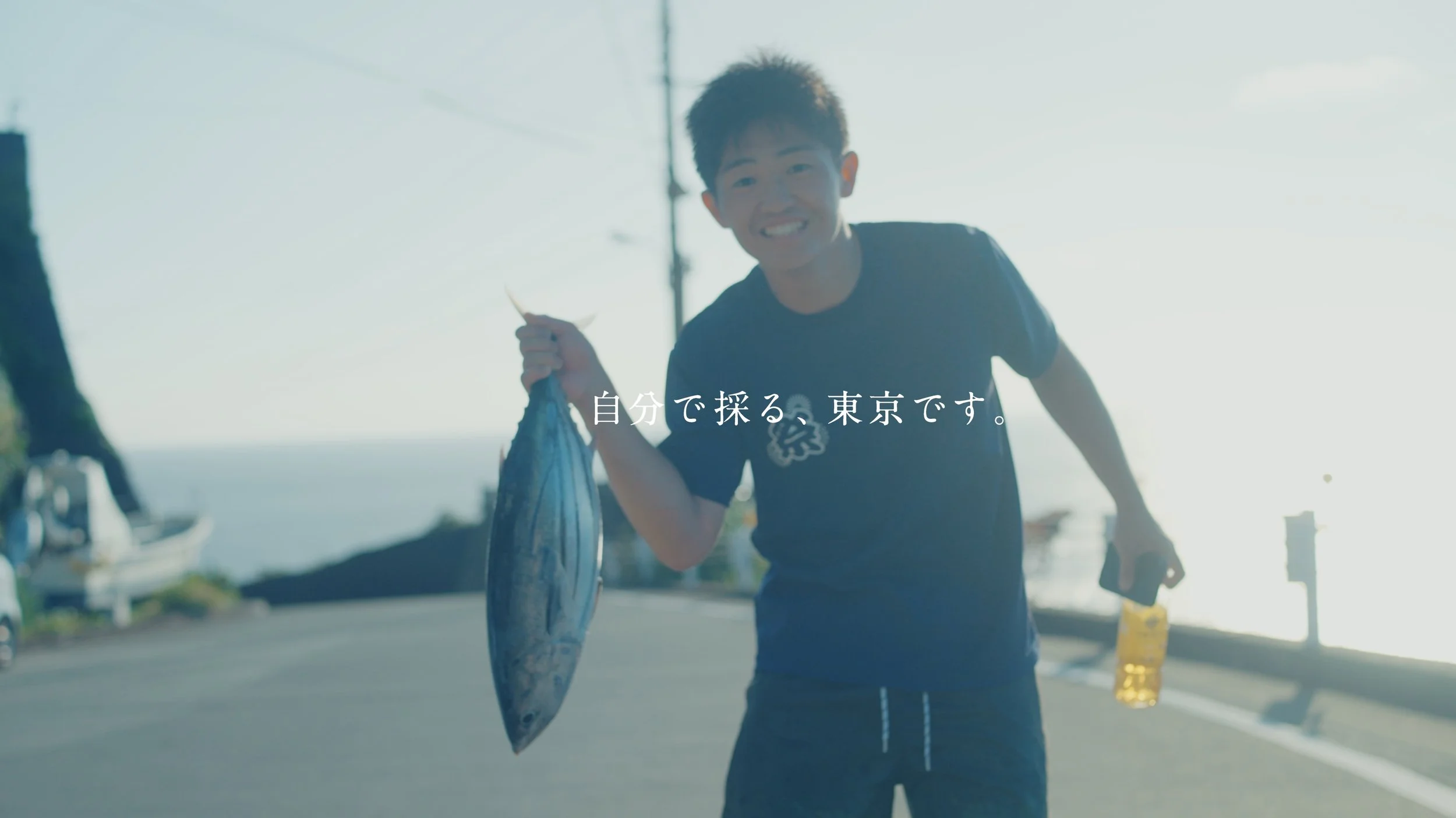 mikurajima_pv_00044.jpeg